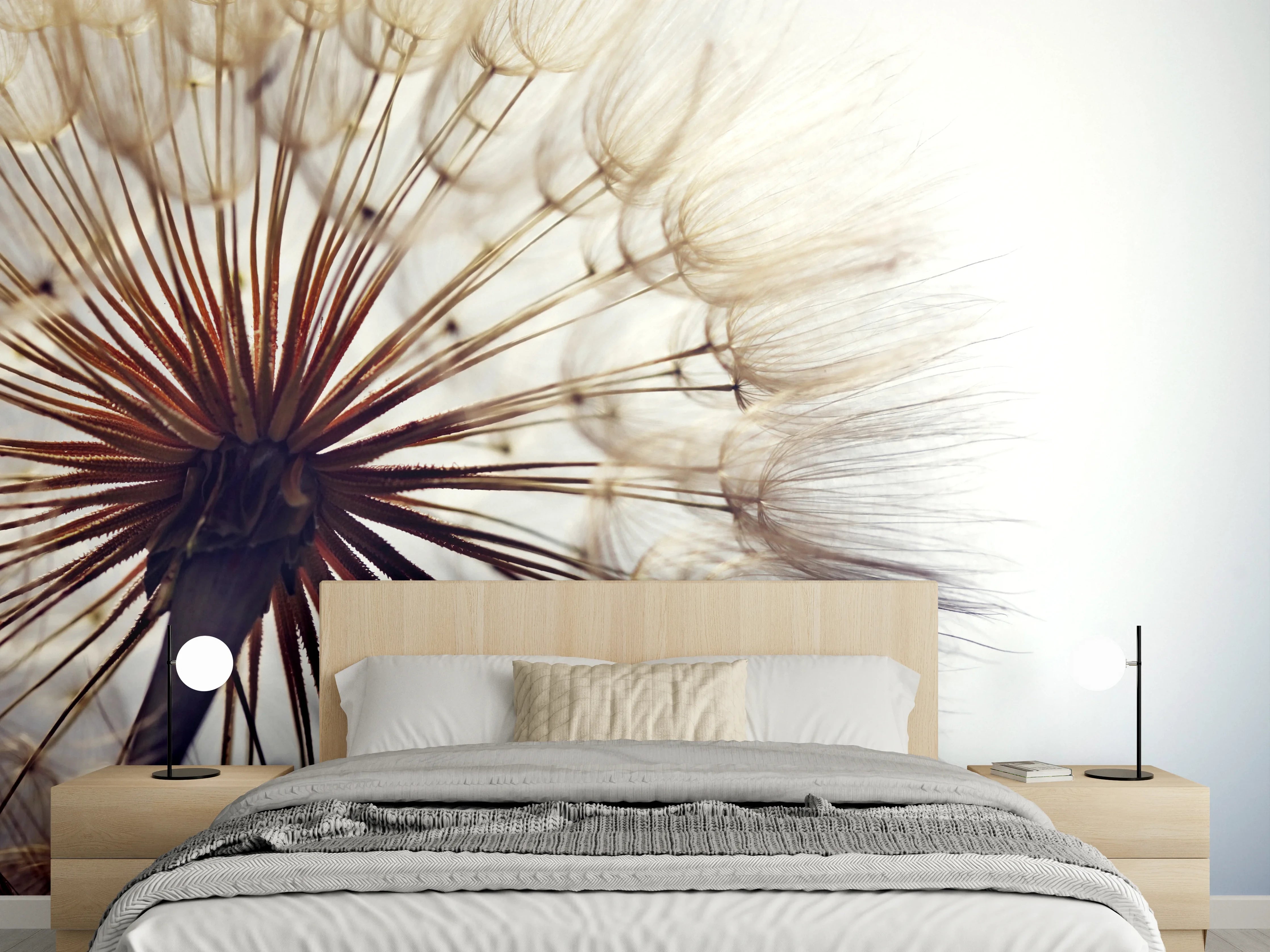 Wandverkleidung Schlafzimmer - Löwenzahn Nahaufnahme mit zarten Details