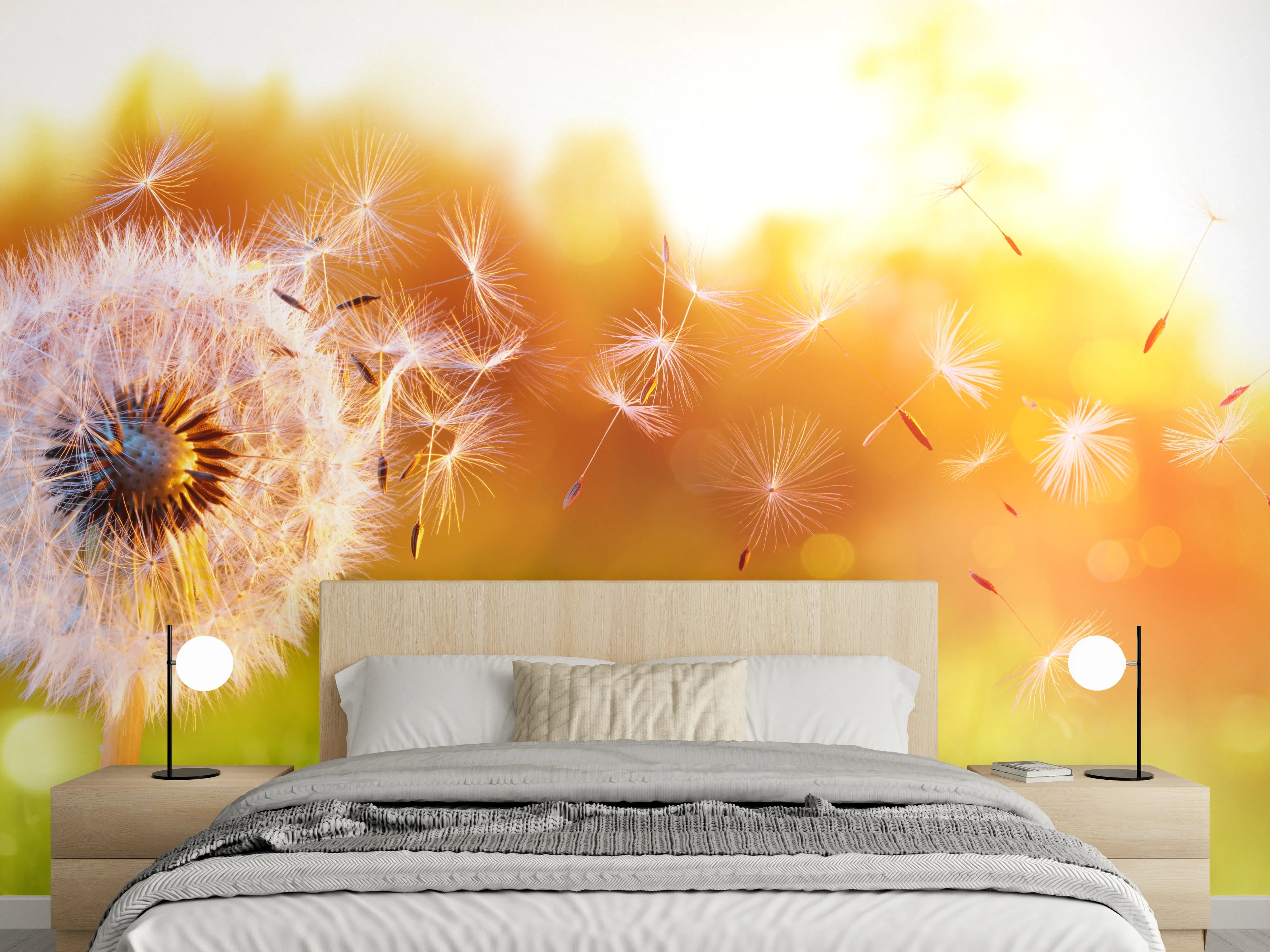 Wandverkleidung Schlafzimmer - Löwenzahn im Feld bei Sonnenuntergang