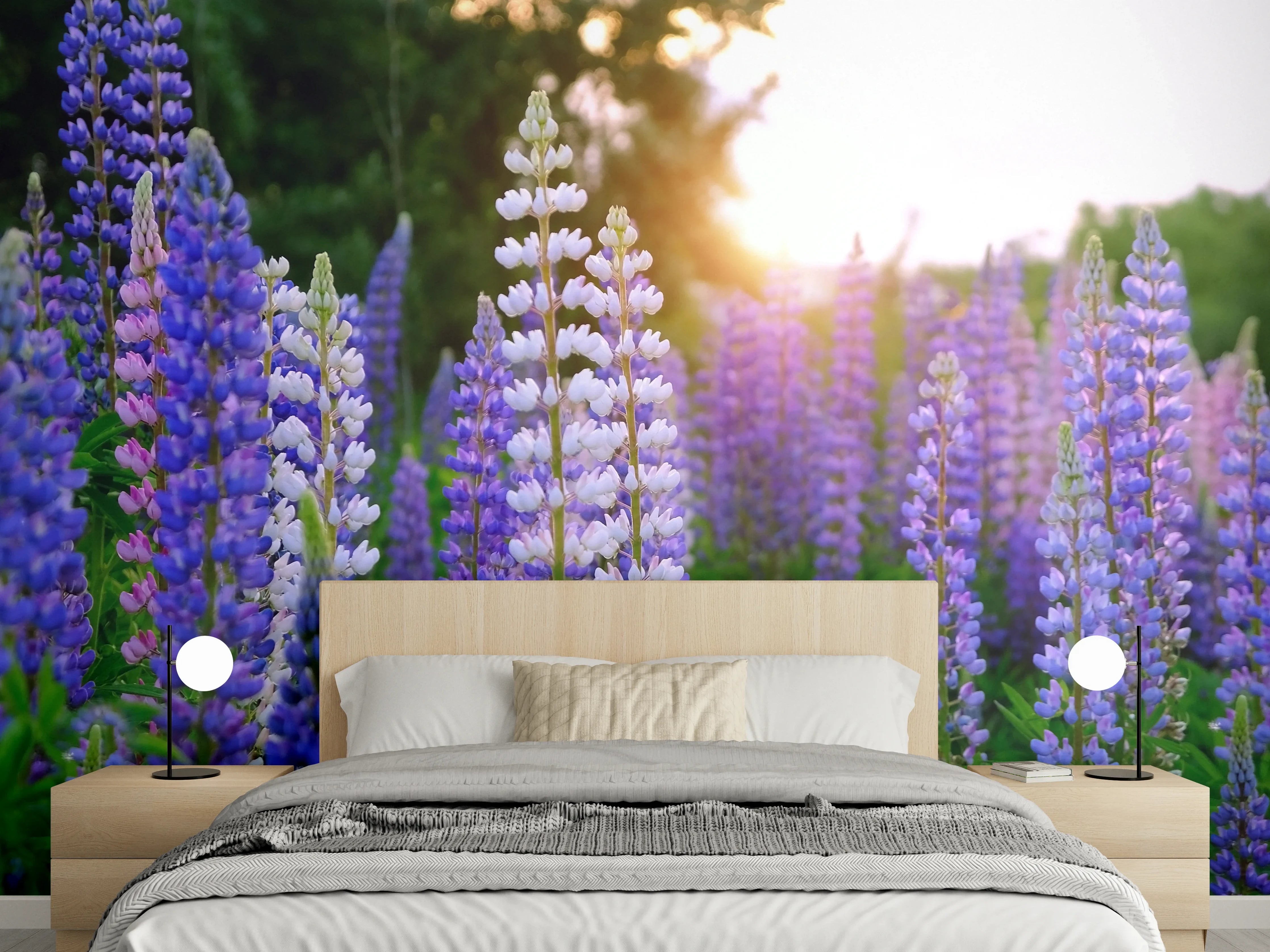 Wandverkleidung Schlafzimmer - Lupinenwiese bei Sonnenuntergang