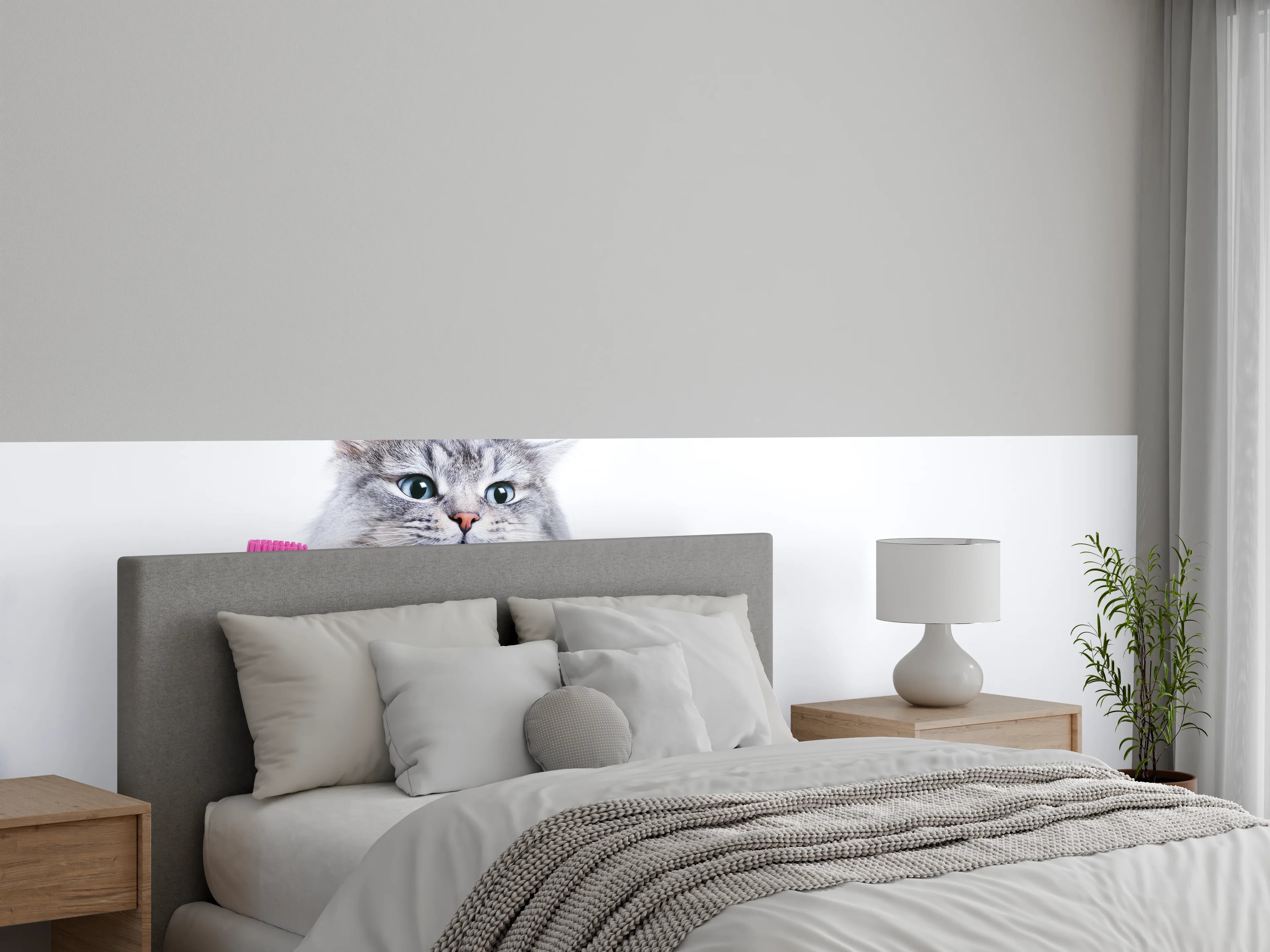 Wandverkleidung Schlafzimmer - Lustige Katze mit Zahnbürste