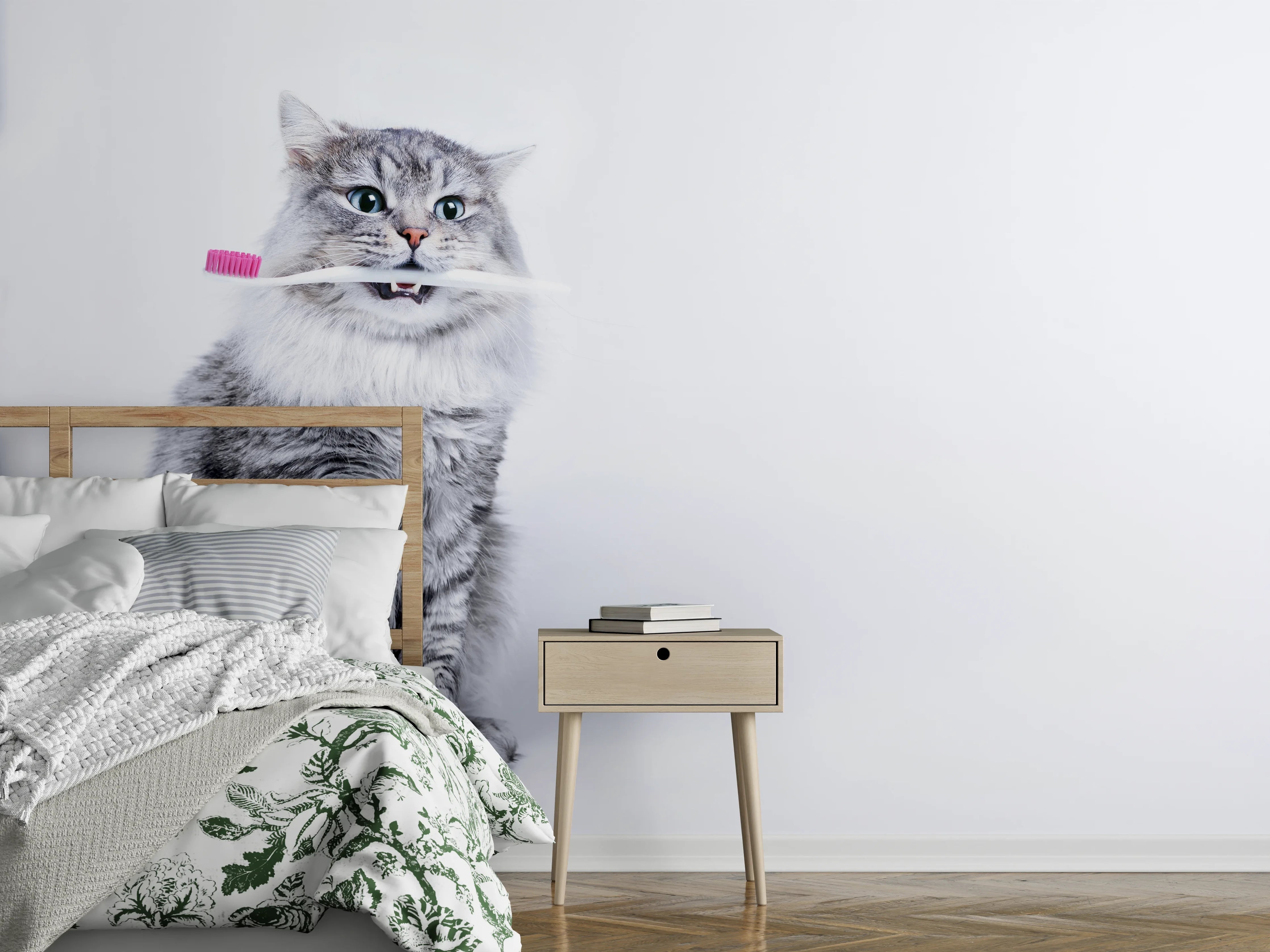 Wandverkleidung Schlafzimmer - Lustige Katze mit Zahnbürste