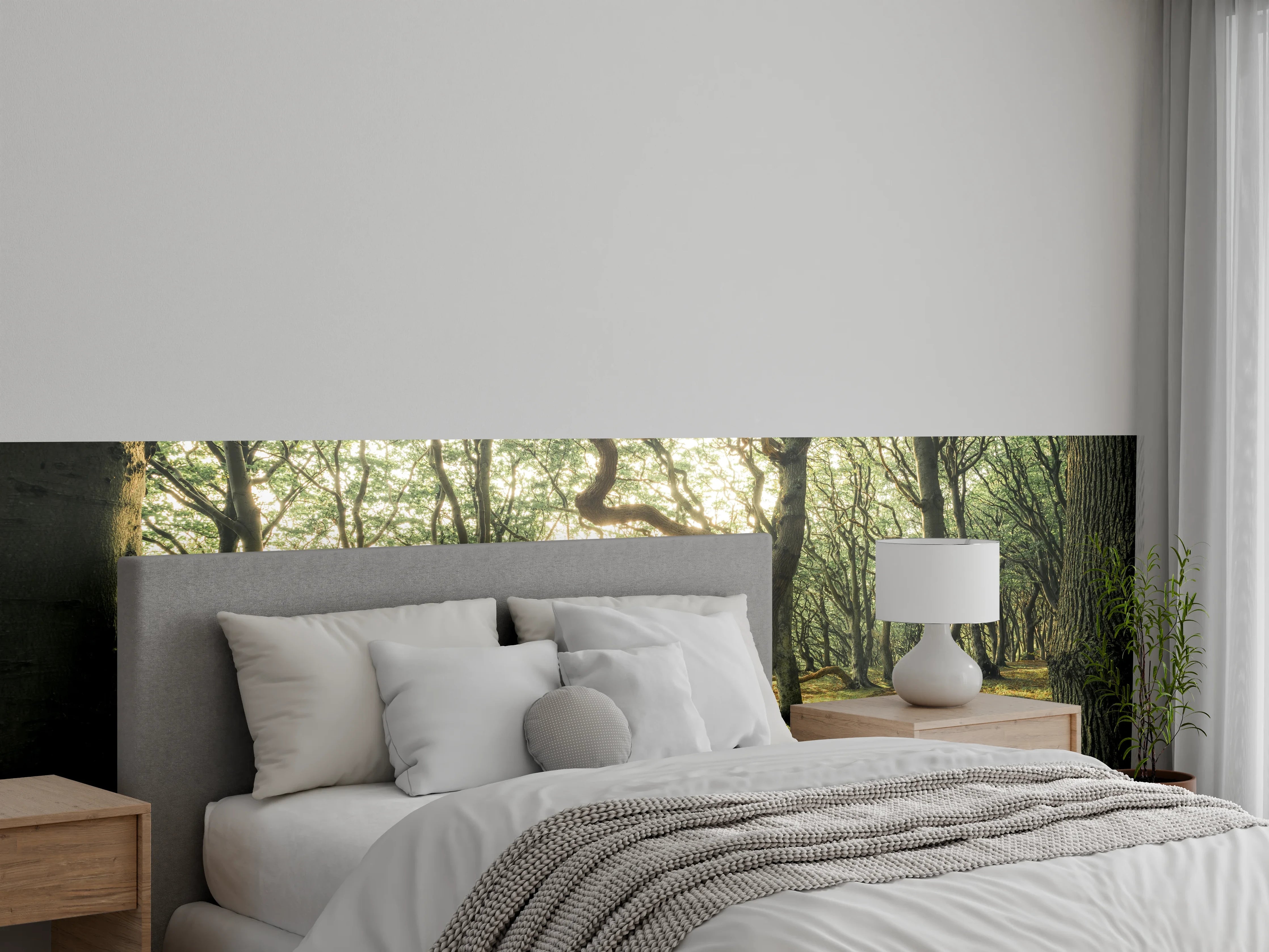 Wandverkleidung Schlafzimmer - Märchenwald im Sonnenlicht Fotomotiv