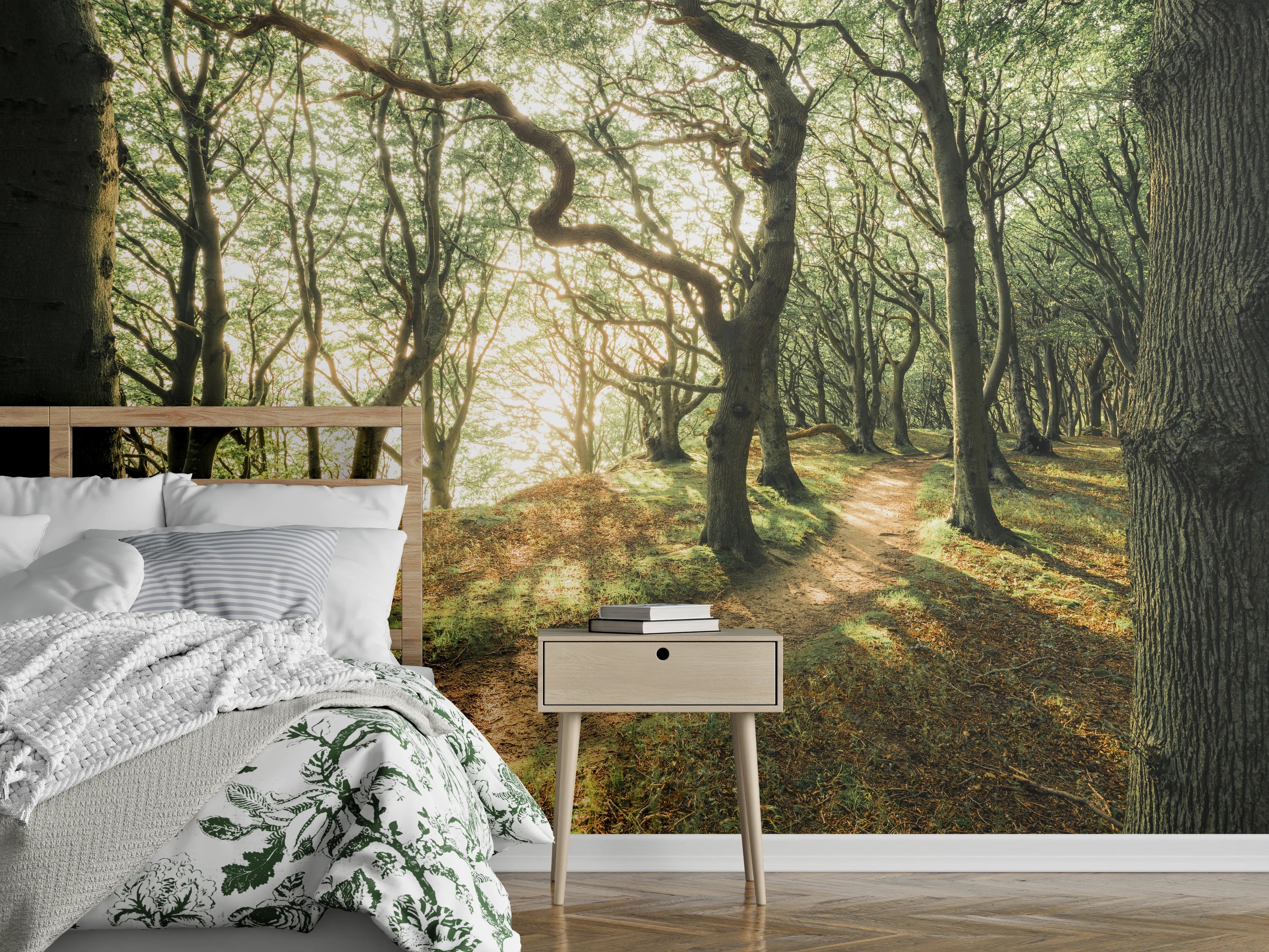 Wandverkleidung Schlafzimmer - Märchenwald im Sonnenlicht Fotomotiv