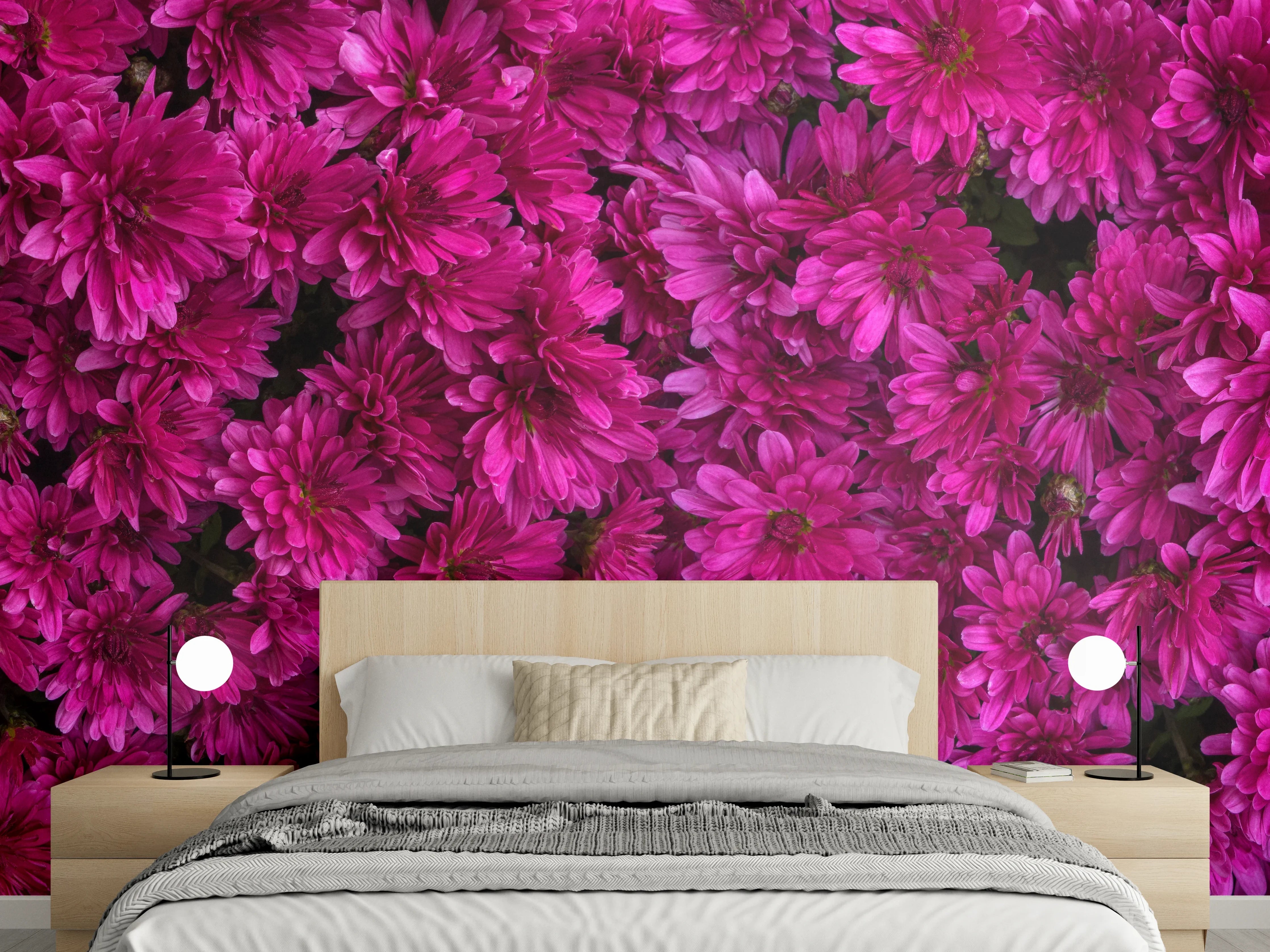 Wandverkleidung Schlafzimmer - Magenta Blüten von Chrysanthemen