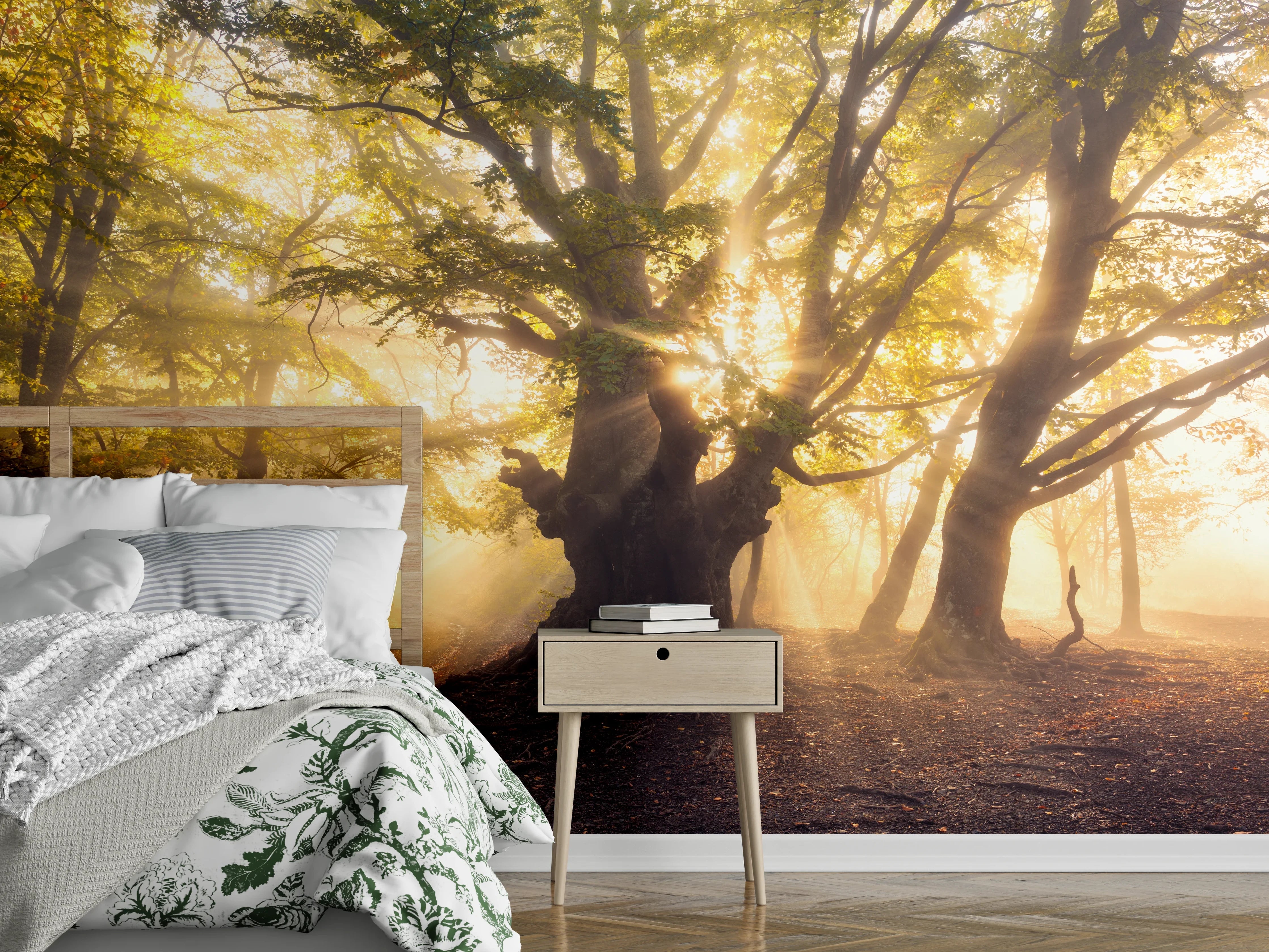 Wandverkleidung Schlafzimmer - Magischer Morgenwald – Sonnenstrahlen im Baum