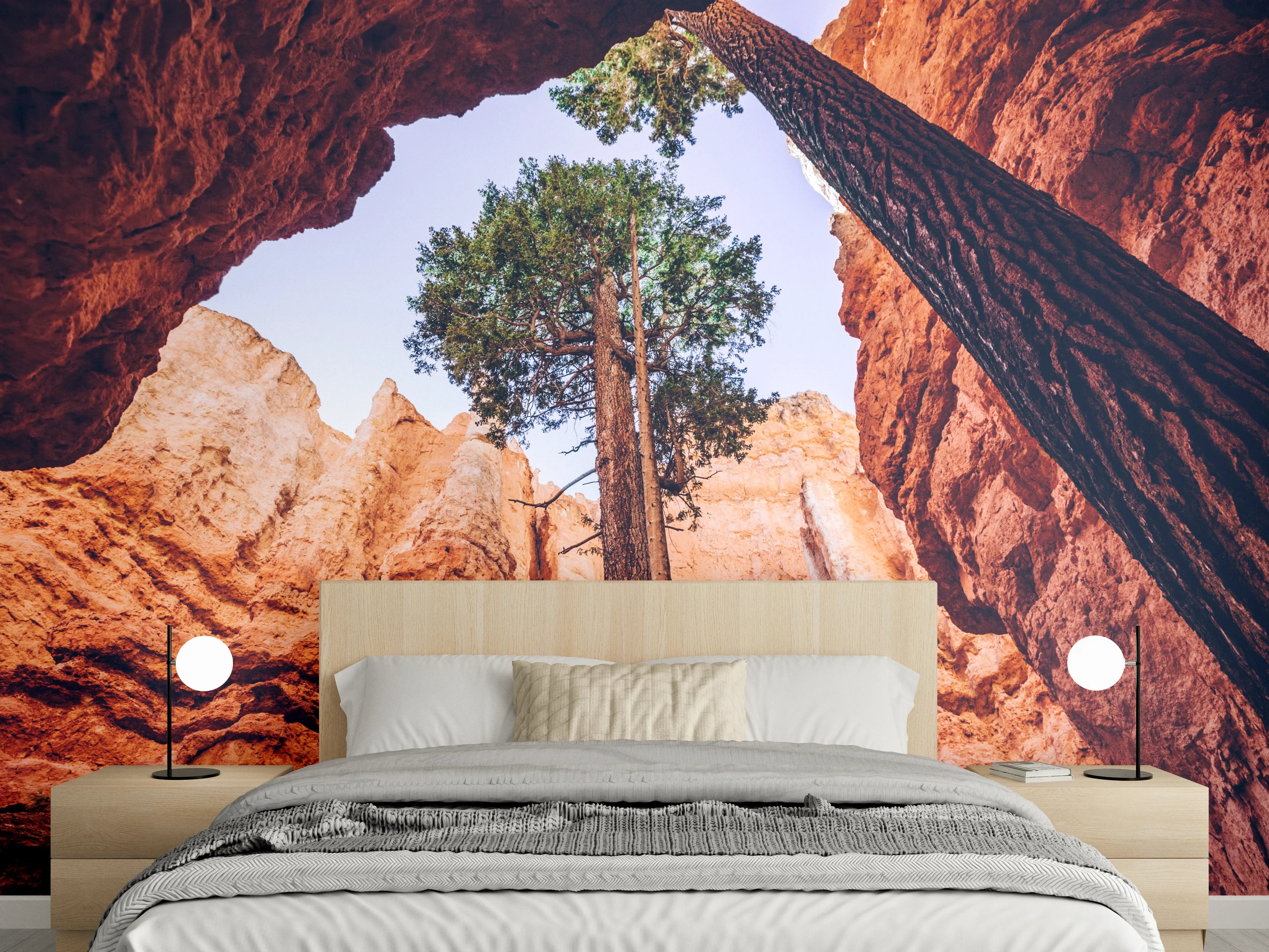 Wandverkleidung Schlafzimmer - Majestätische Bäume im Felsencanyon
