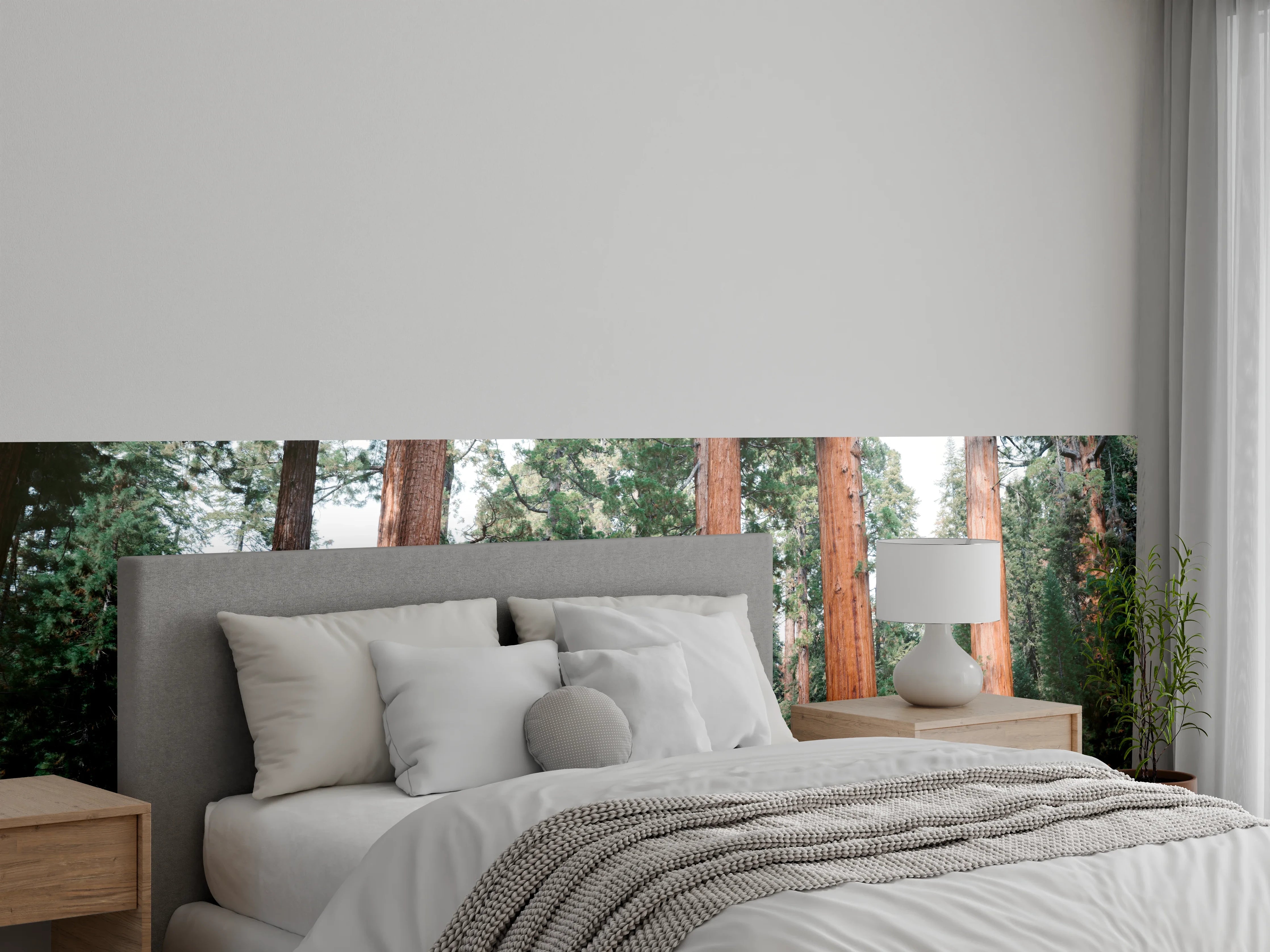 Wandverkleidung Schlafzimmer - Majestätische Mammutbäume Wald Panorama