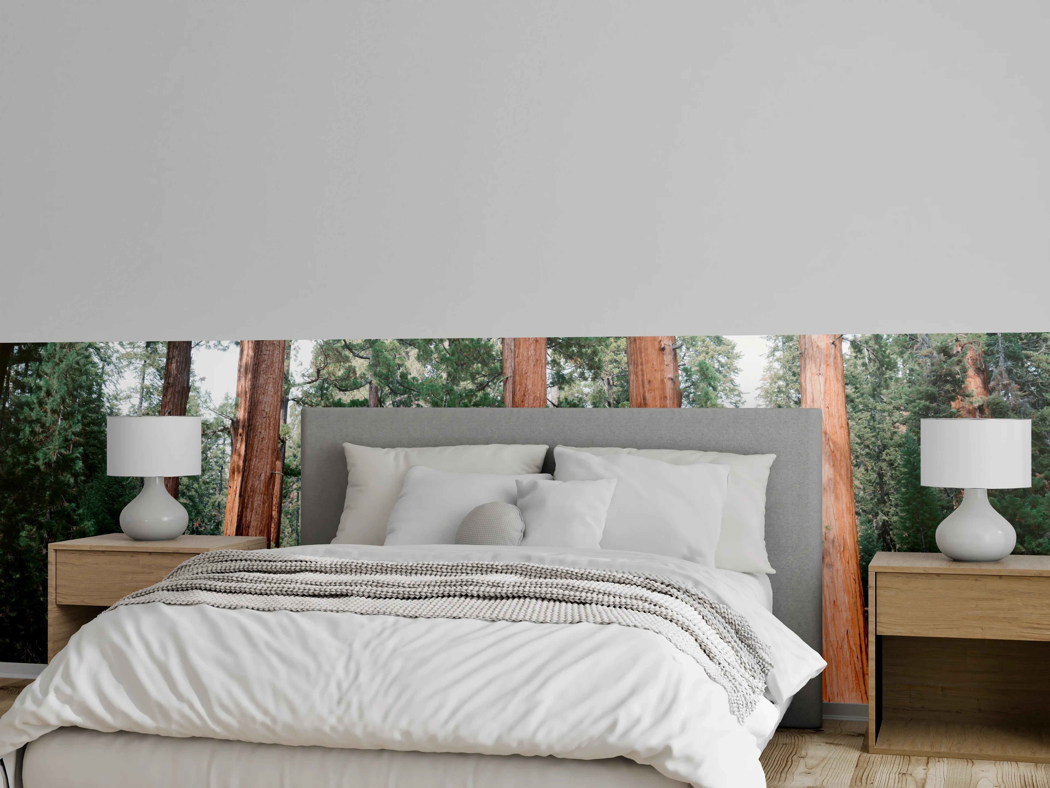 Wandverkleidung Schlafzimmer - Majestätische Mammutbäume Wald Panorama