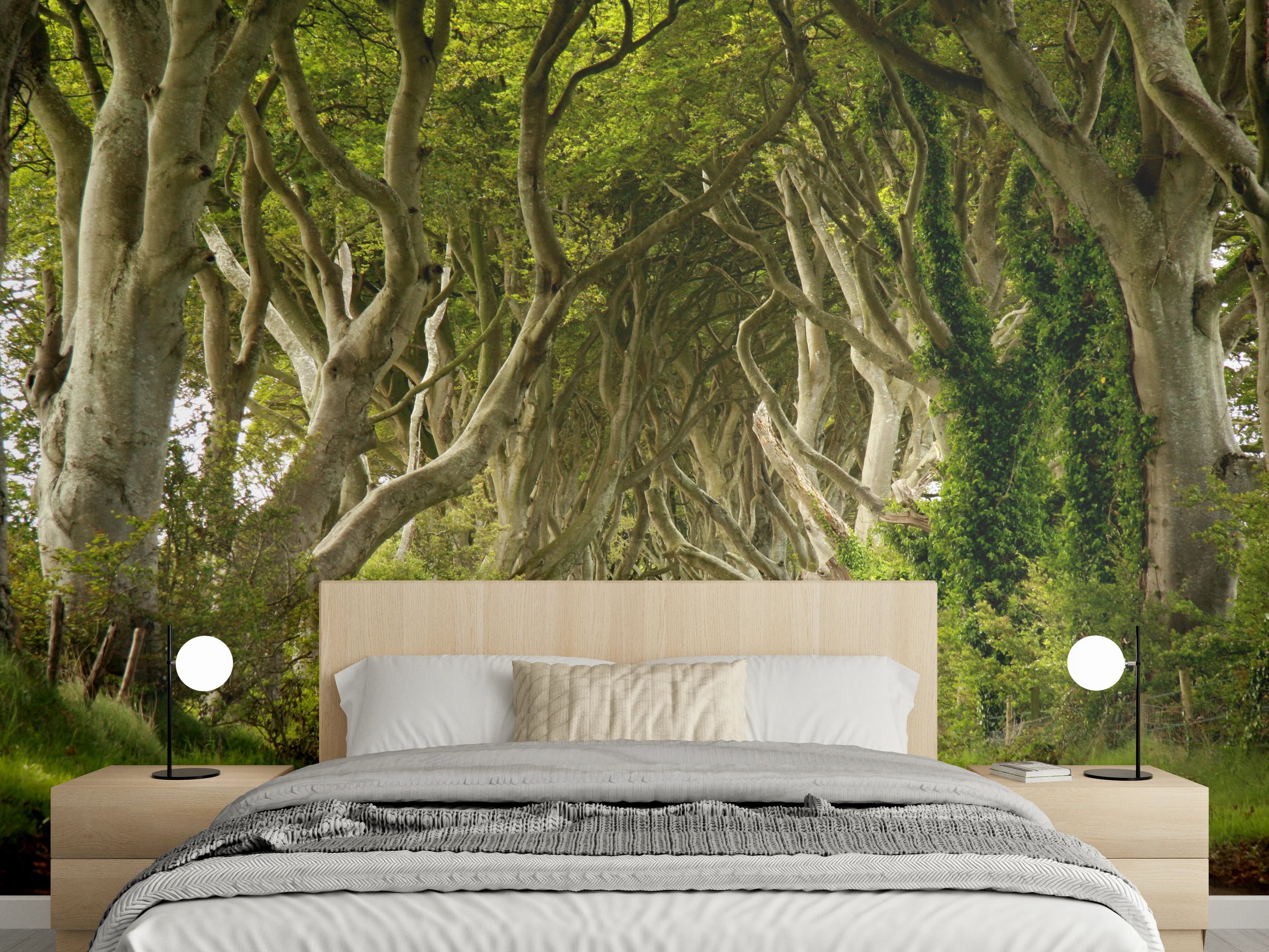 Wandverkleidung Schlafzimmer - Majestätischer Baumweg mit grünen Blättern
