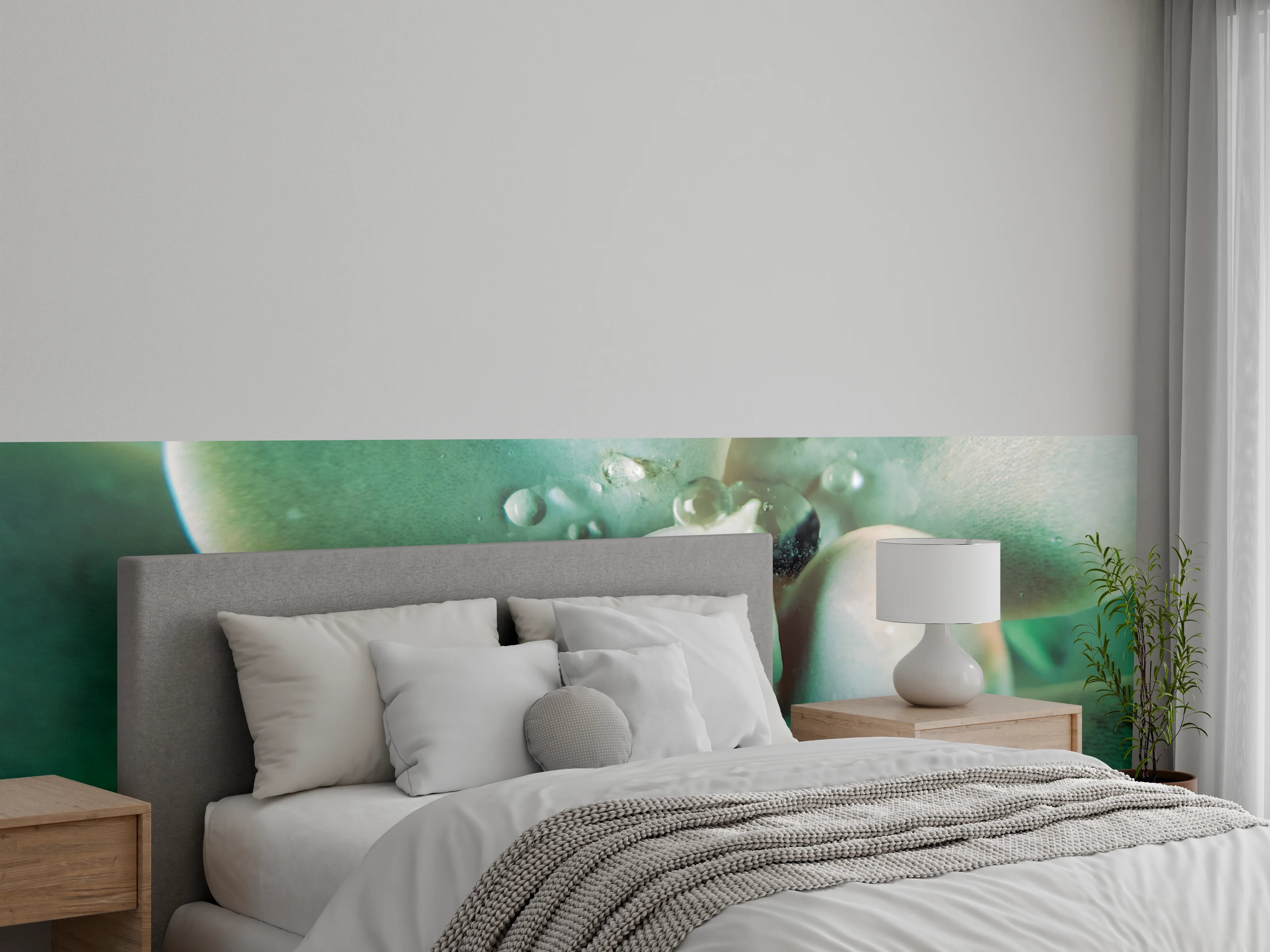 Wandverkleidung Schlafzimmer - Makroaufnahme Sukkulente: Frische Tropfen-Detail
