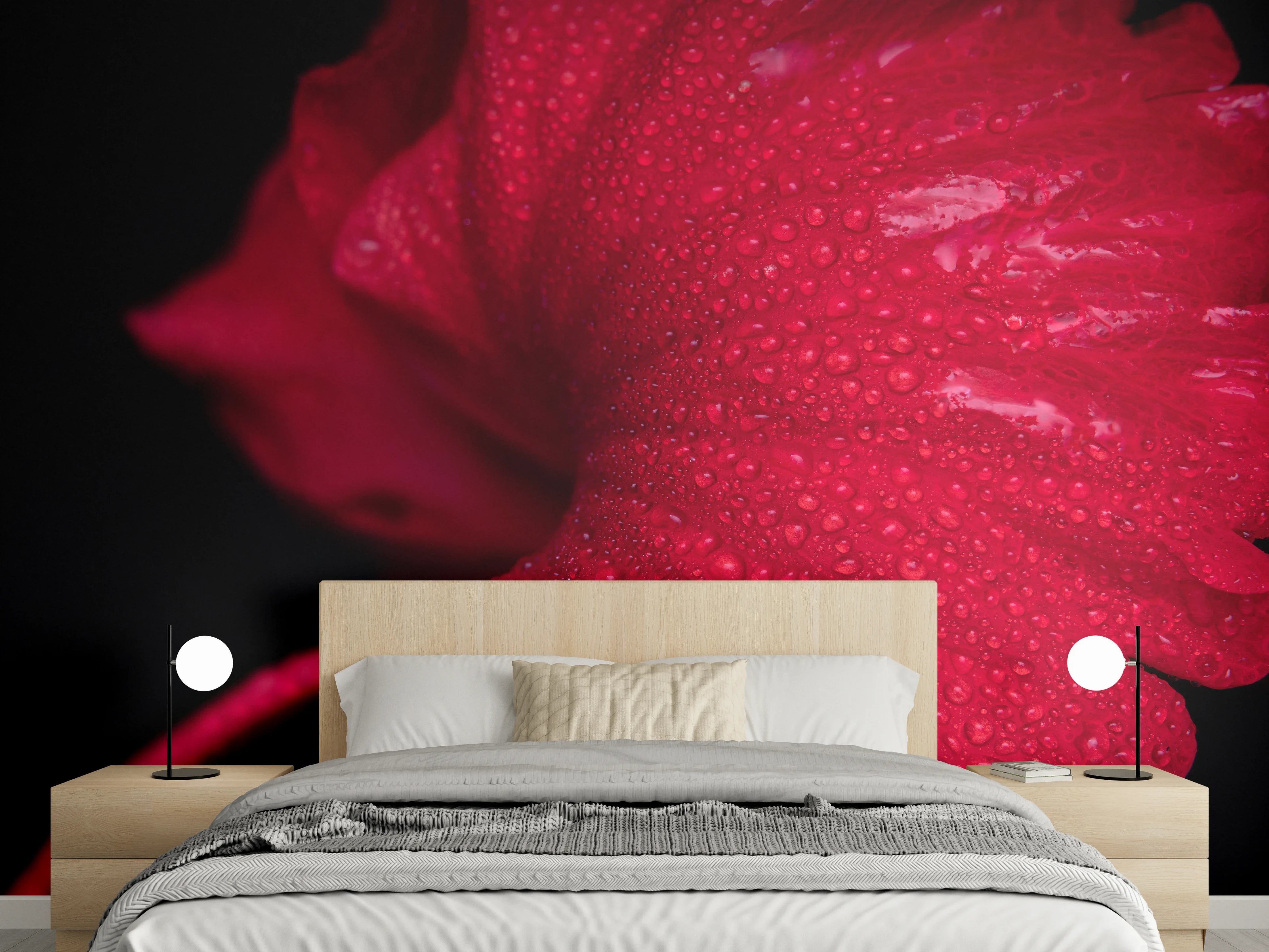 Wandverkleidung Schlafzimmer - Makroaufnahme rote Blüte mit Tropfen
