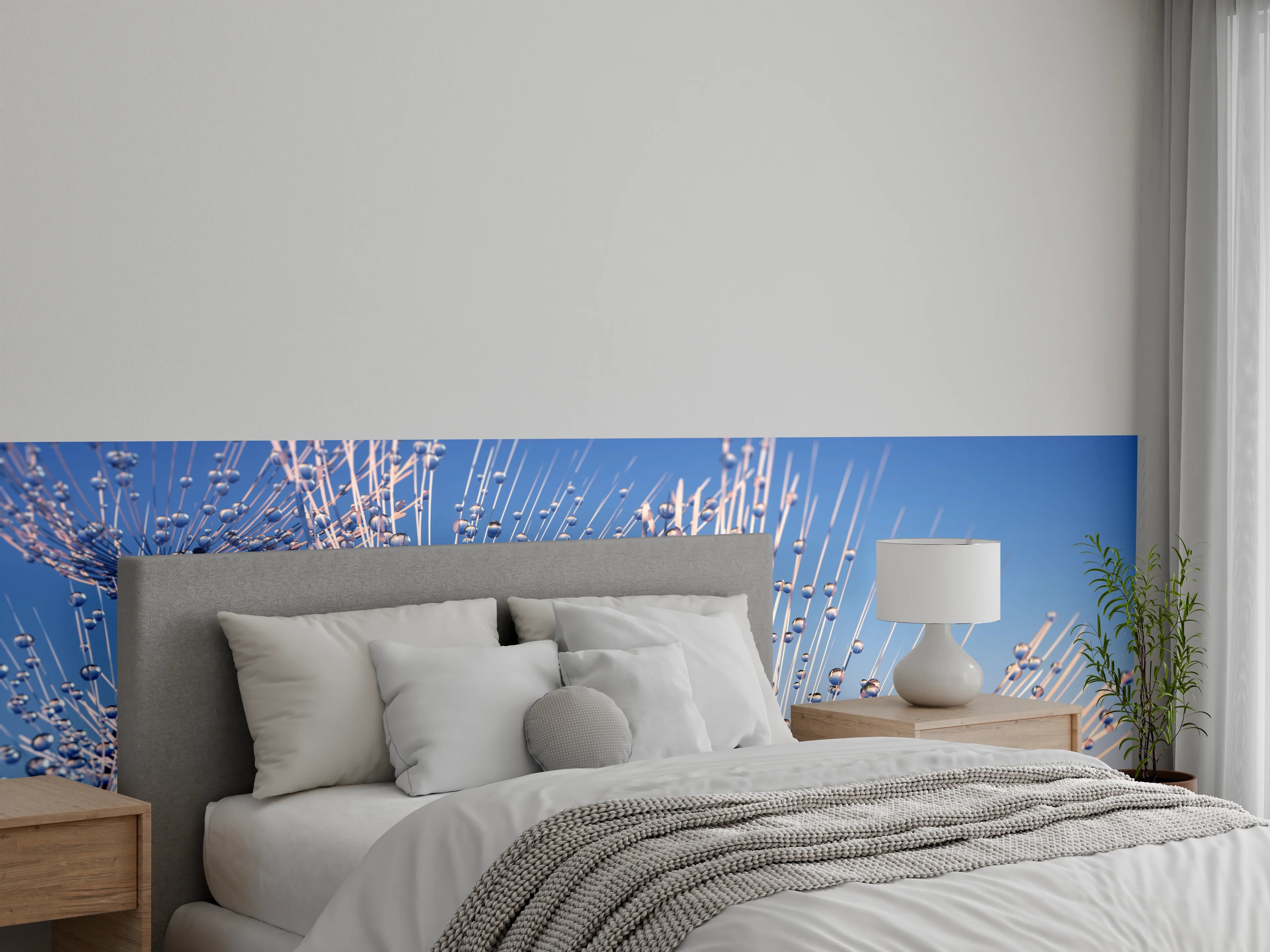 Wandverkleidung Schlafzimmer - Makrofoto Pusteblume Morgentau Blau Himmel