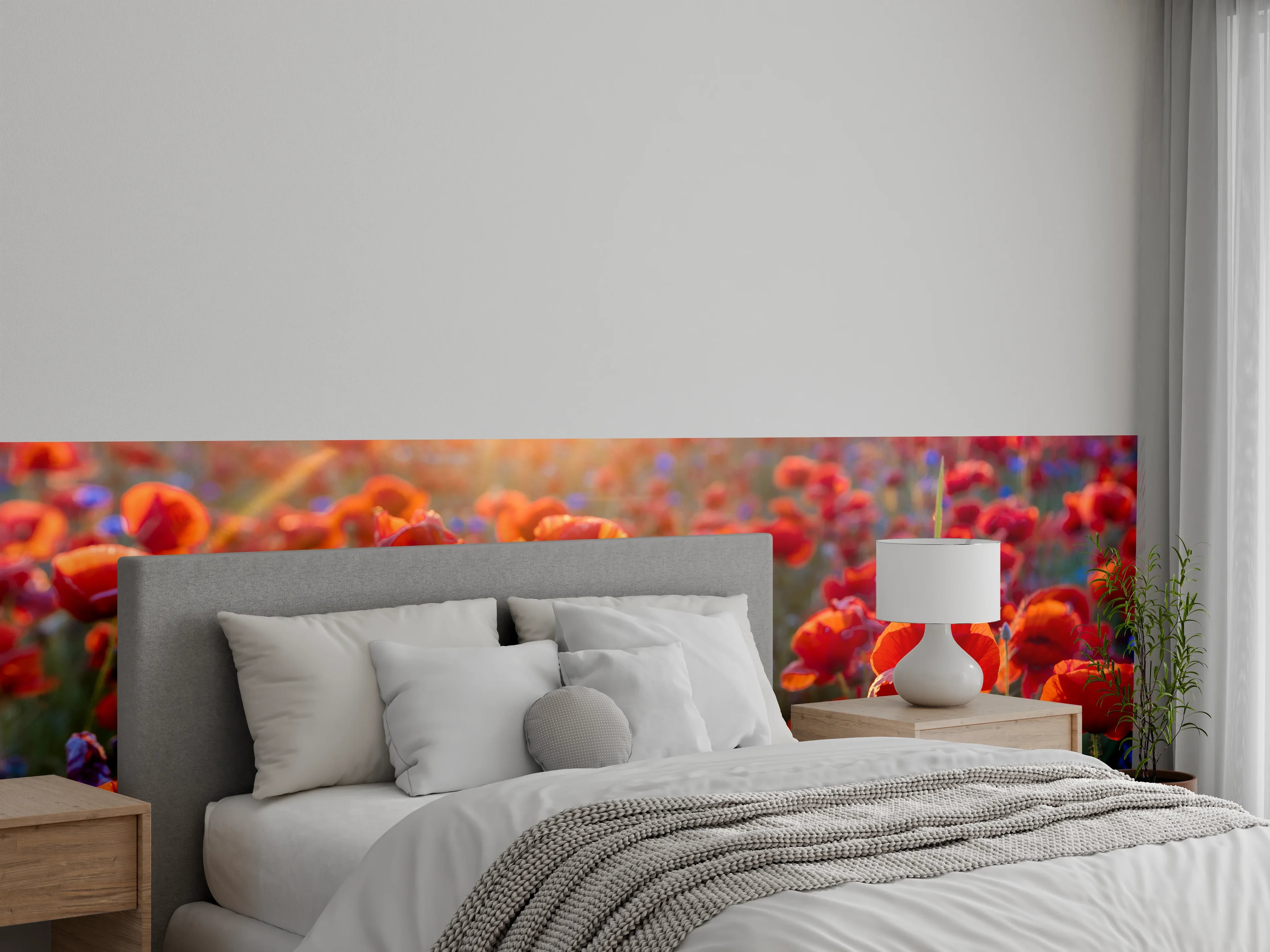 Wandverkleidung Schlafzimmer - Mohnwiese im Licht der untergehenden Sonne
