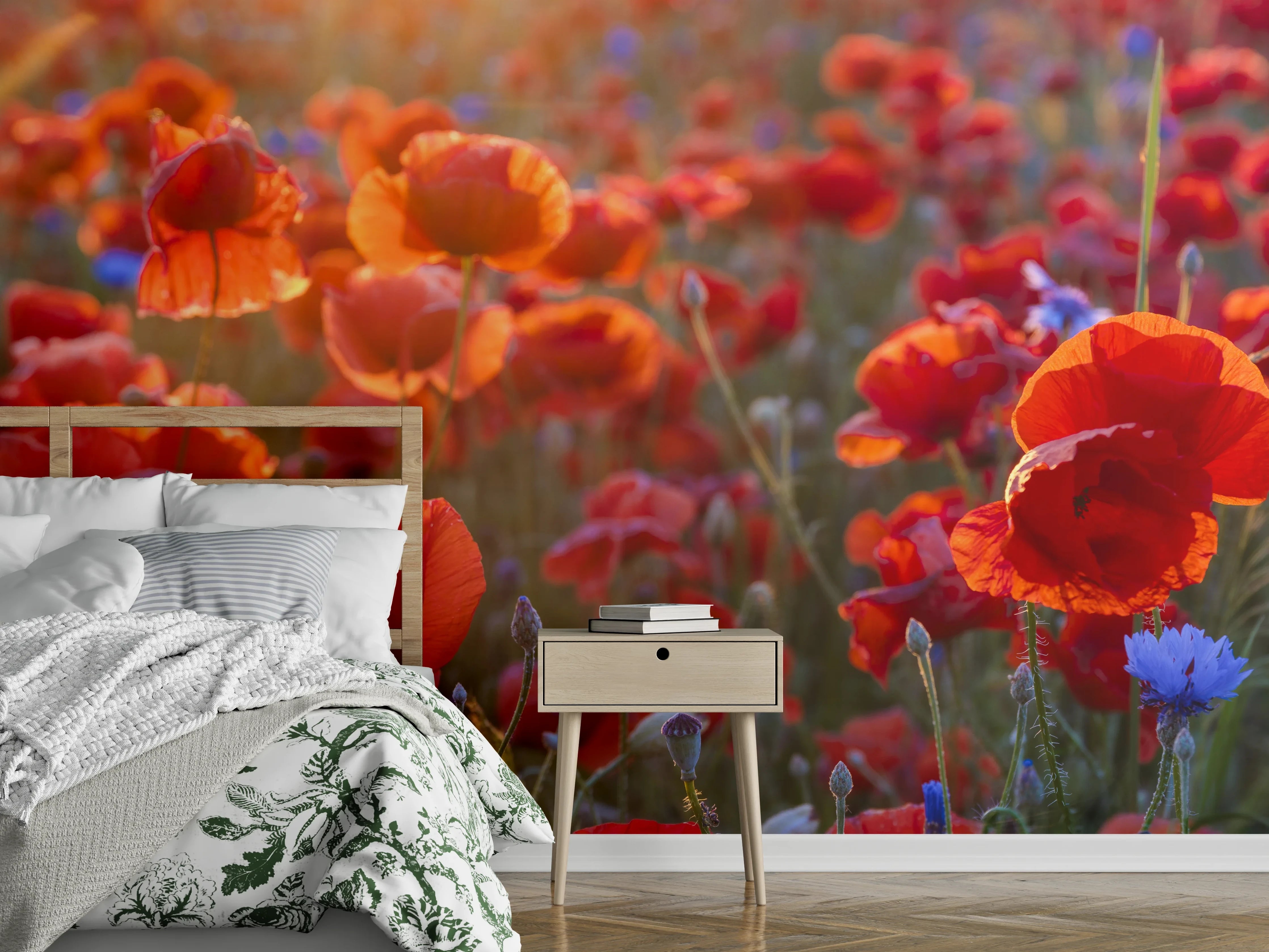 Wandverkleidung Schlafzimmer - Mohnwiese im Licht der untergehenden Sonne