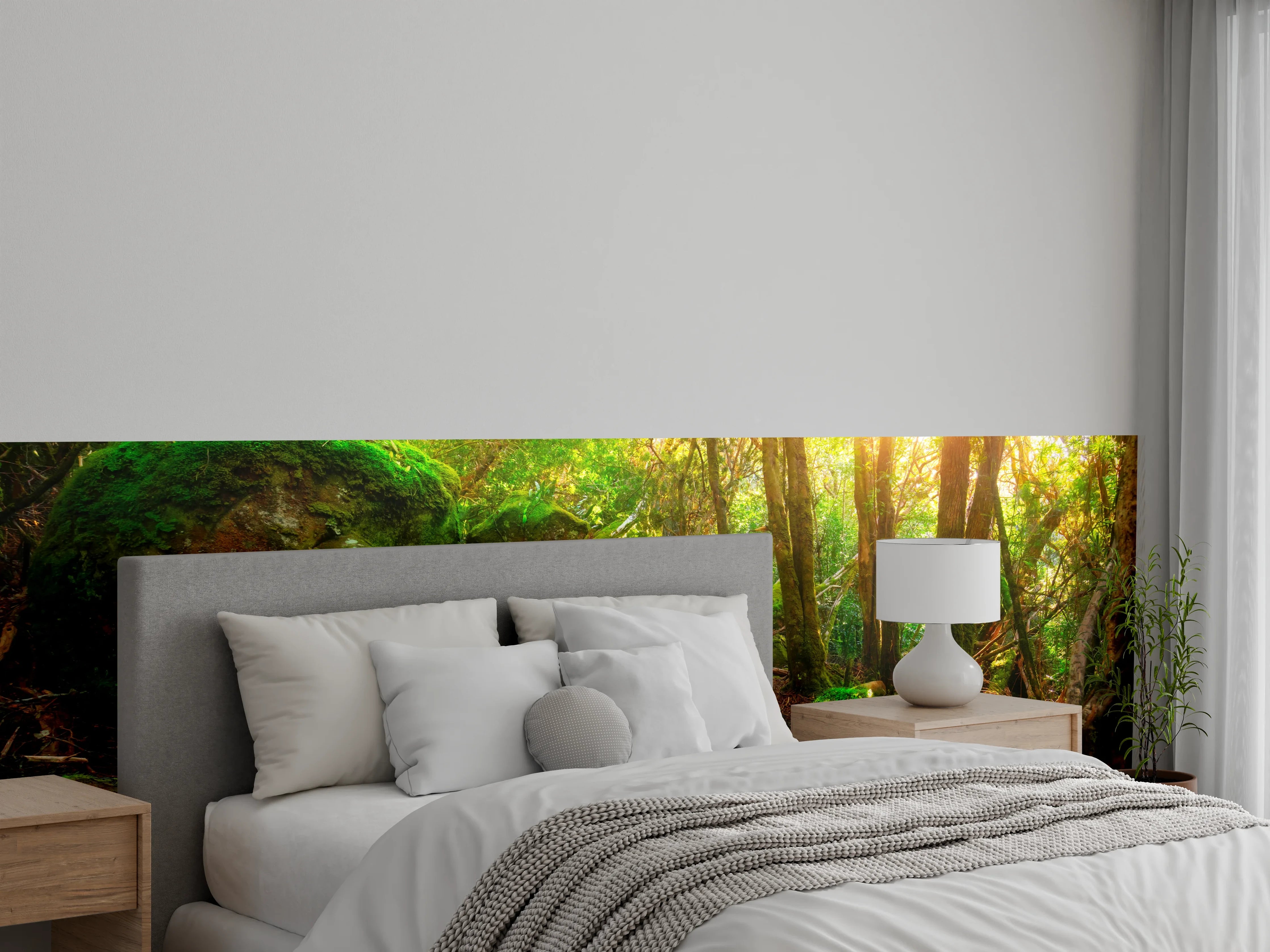 Wandverkleidung Schlafzimmer - Morgenlicht im moosbedeckten Waldpfad