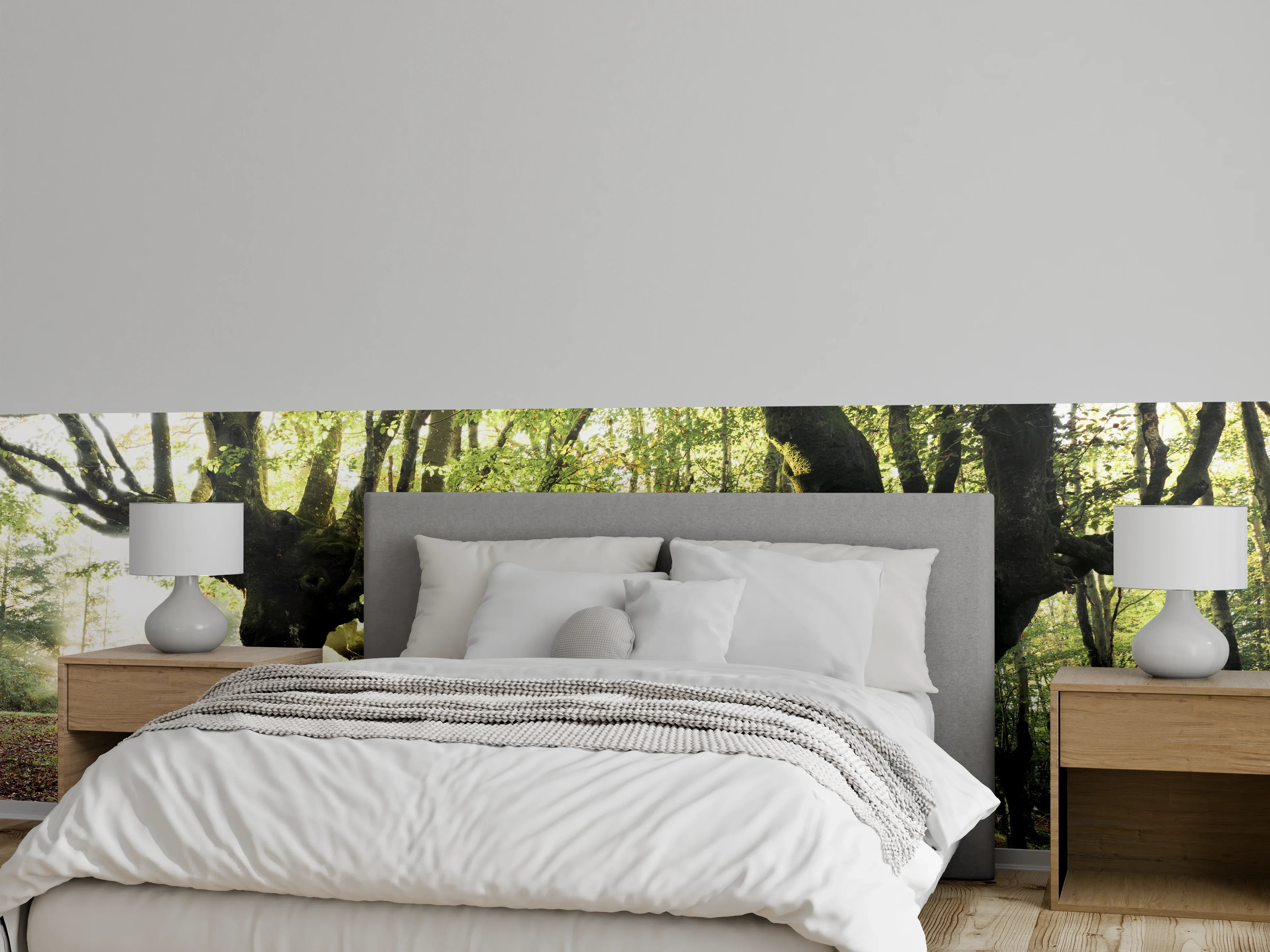 Wandverkleidung Schlafzimmer - Mystischer Buchenwald im Morgenlicht