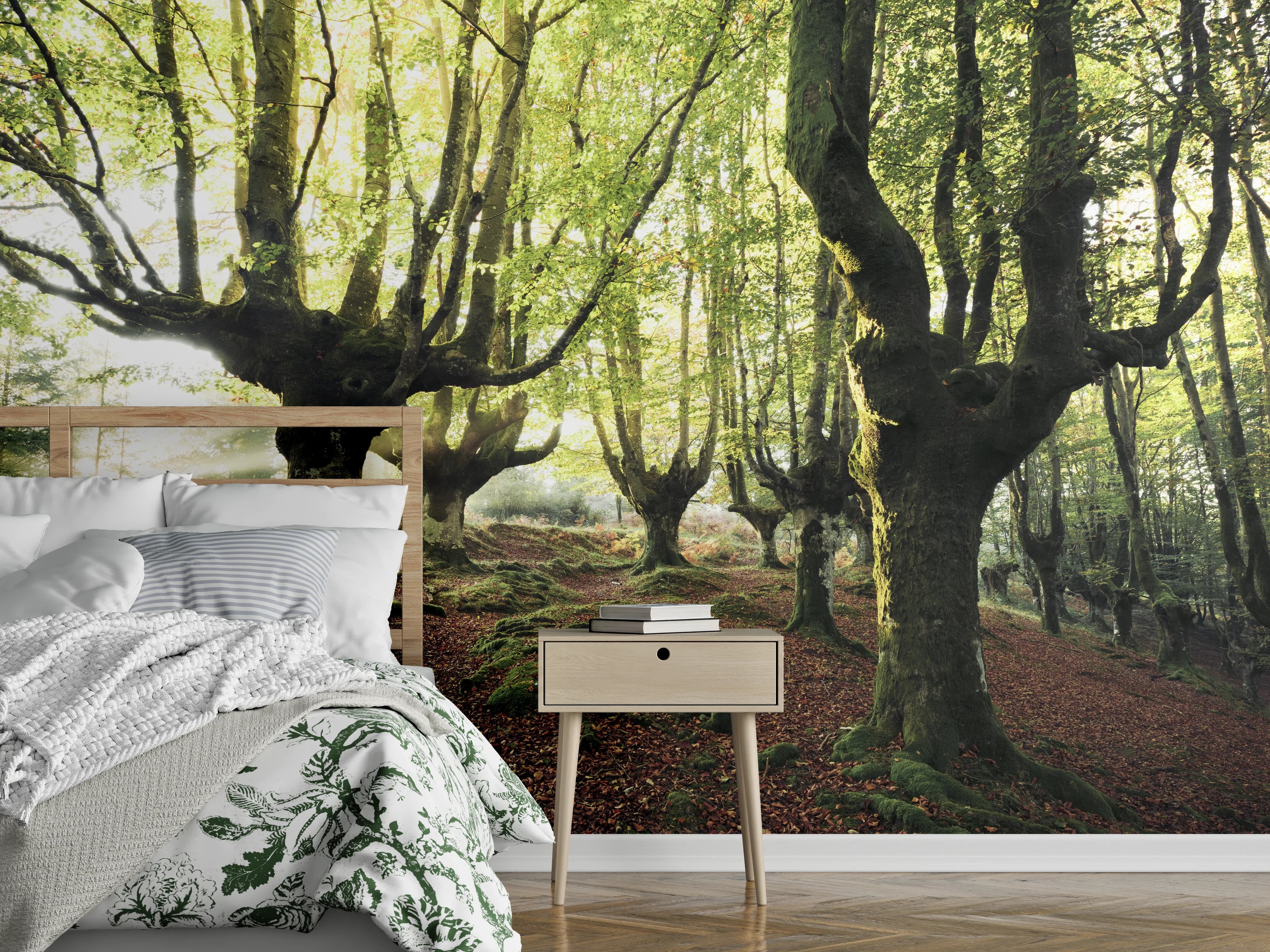 Wandverkleidung Schlafzimmer - Mystischer Buchenwald im Morgenlicht