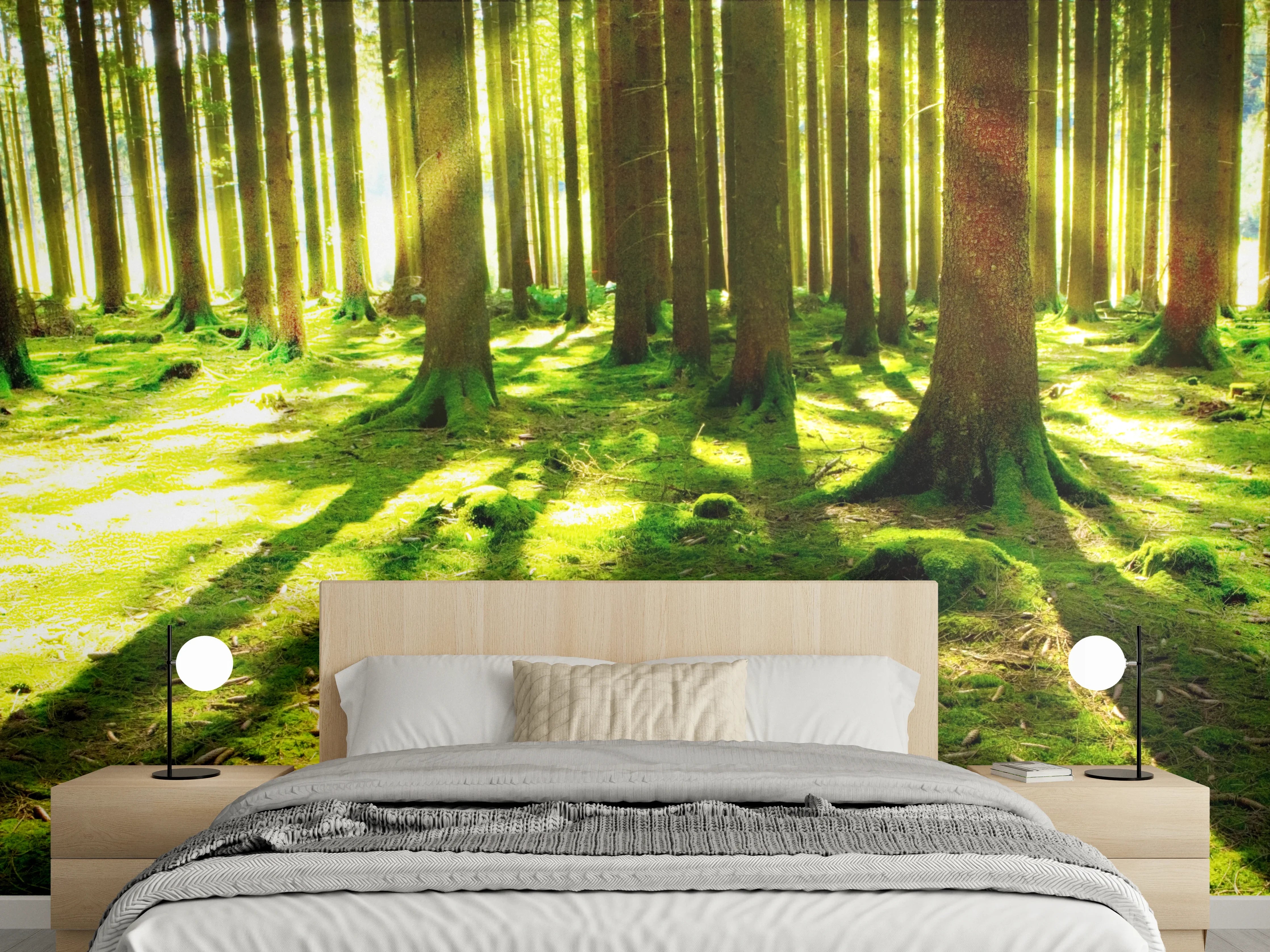 Wandverkleidung Schlafzimmer - Mystischer Wald Sonnenstrahlen Fototapete