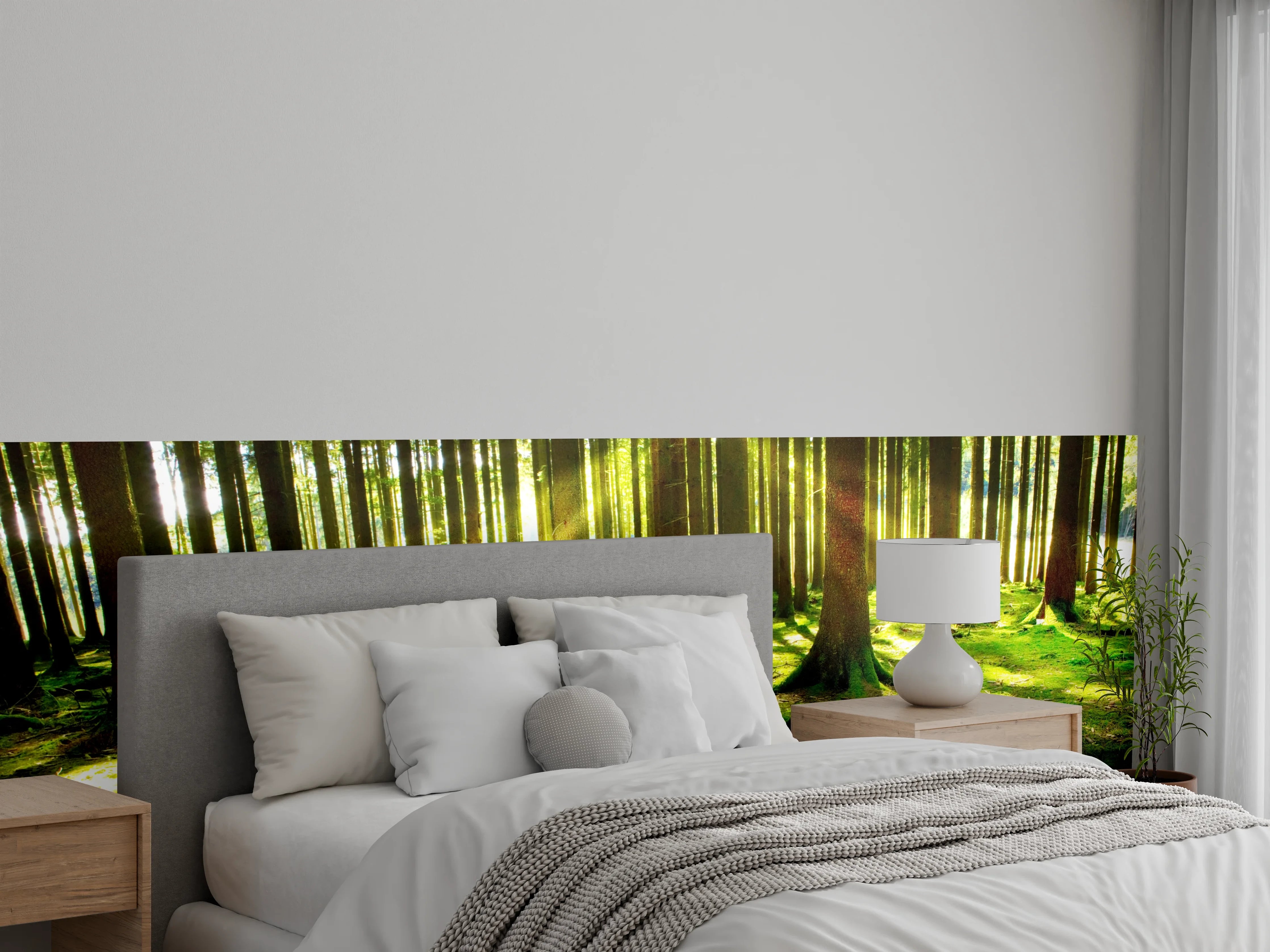 Wandverkleidung Schlafzimmer - Mystischer Wald Sonnenstrahlen Fototapete