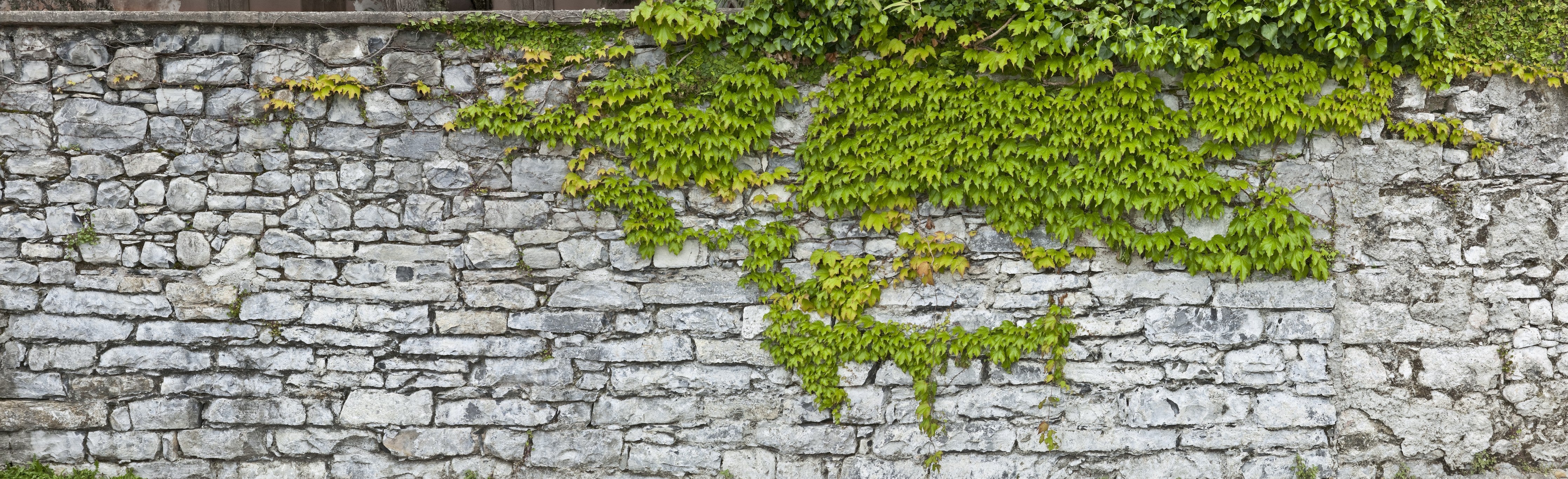 Wandverkleidung Schlafzimmer-Natursteinmauer mit Weinlaub