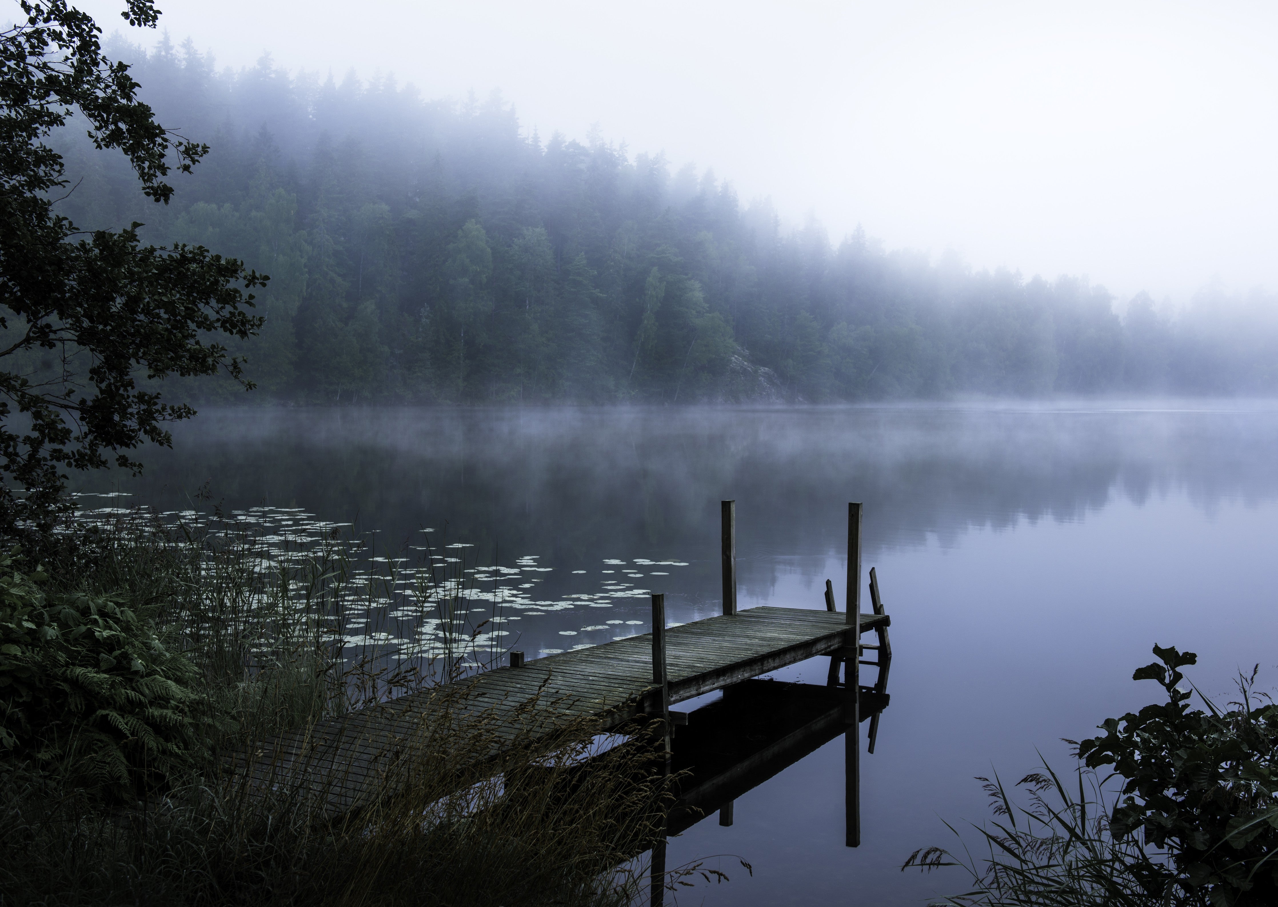 Wandverkleidung Schlafzimmer-Nebel am See – Ruhige Morgenstimmung