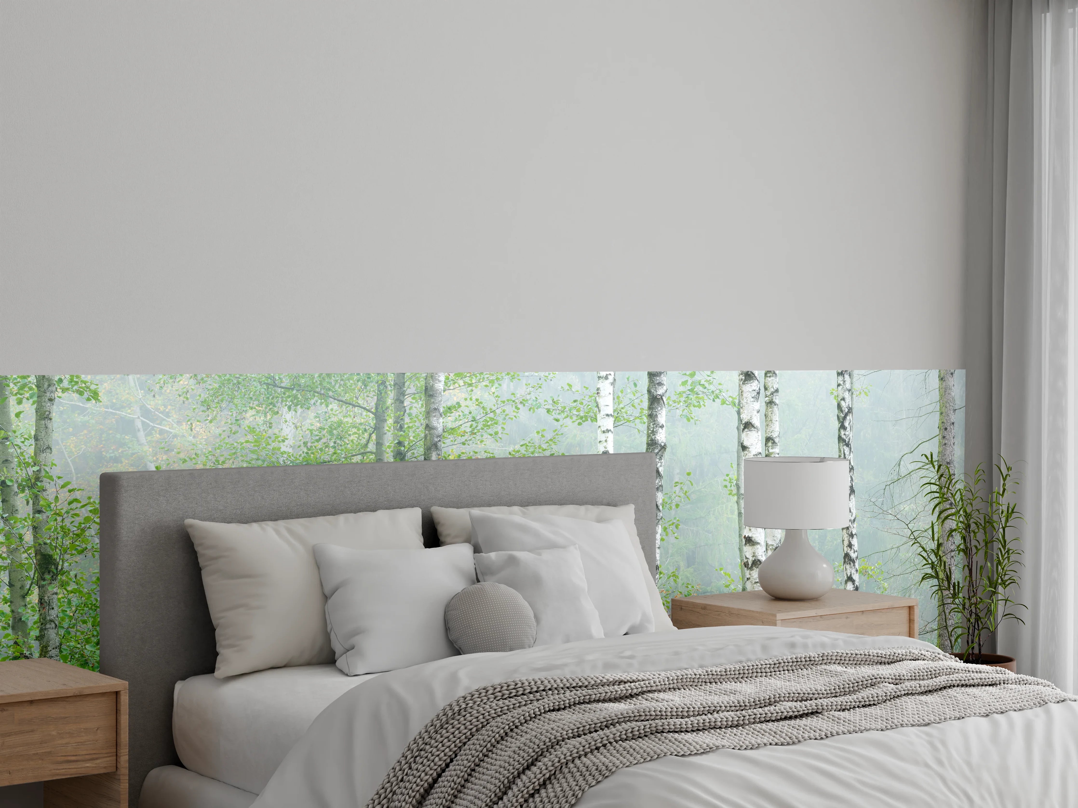 Wandverkleidung Schlafzimmer - Nebeliger Birkenwald