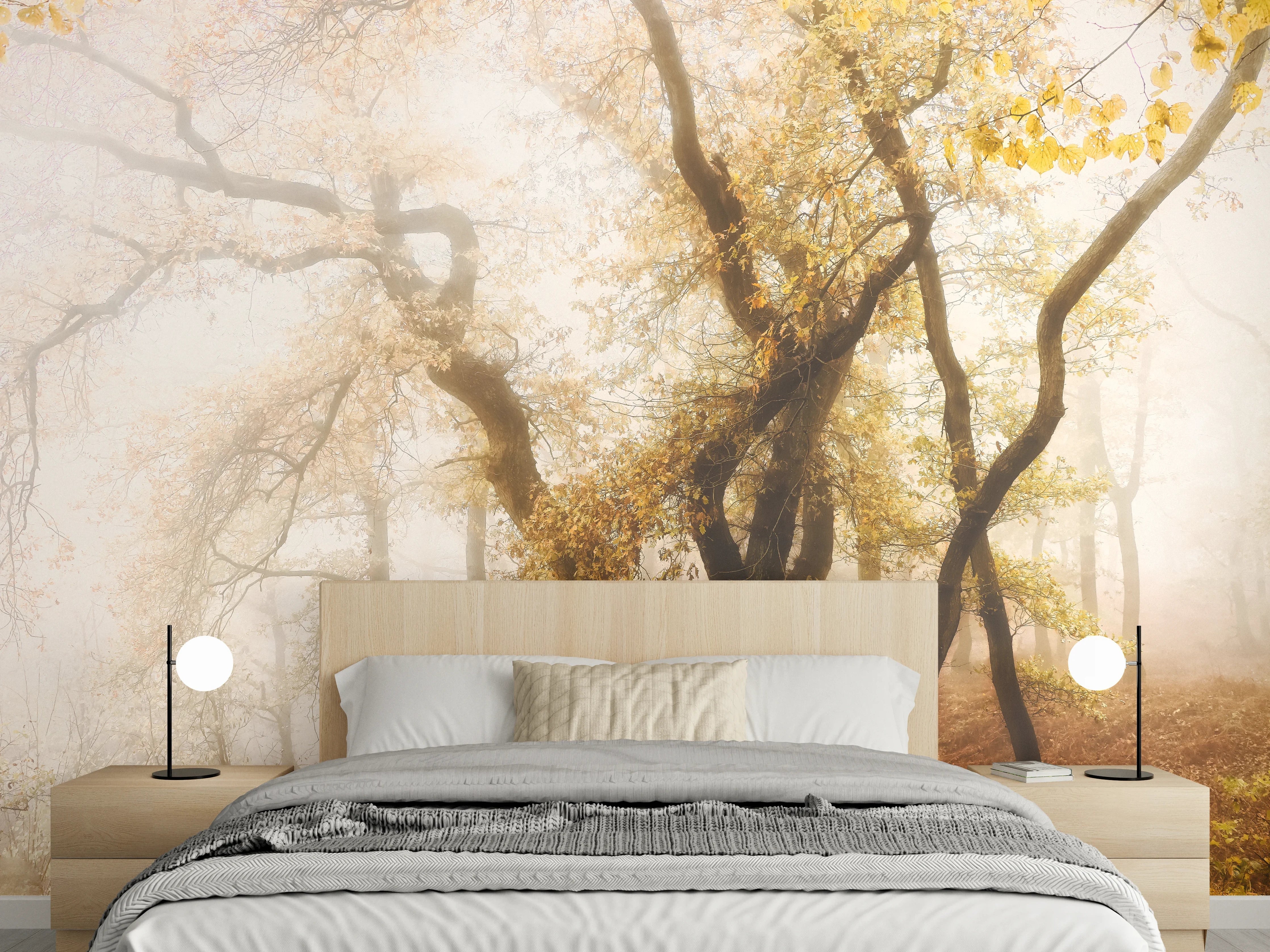 Wandverkleidung Schlafzimmer - Nebeliger Wald im Herbst