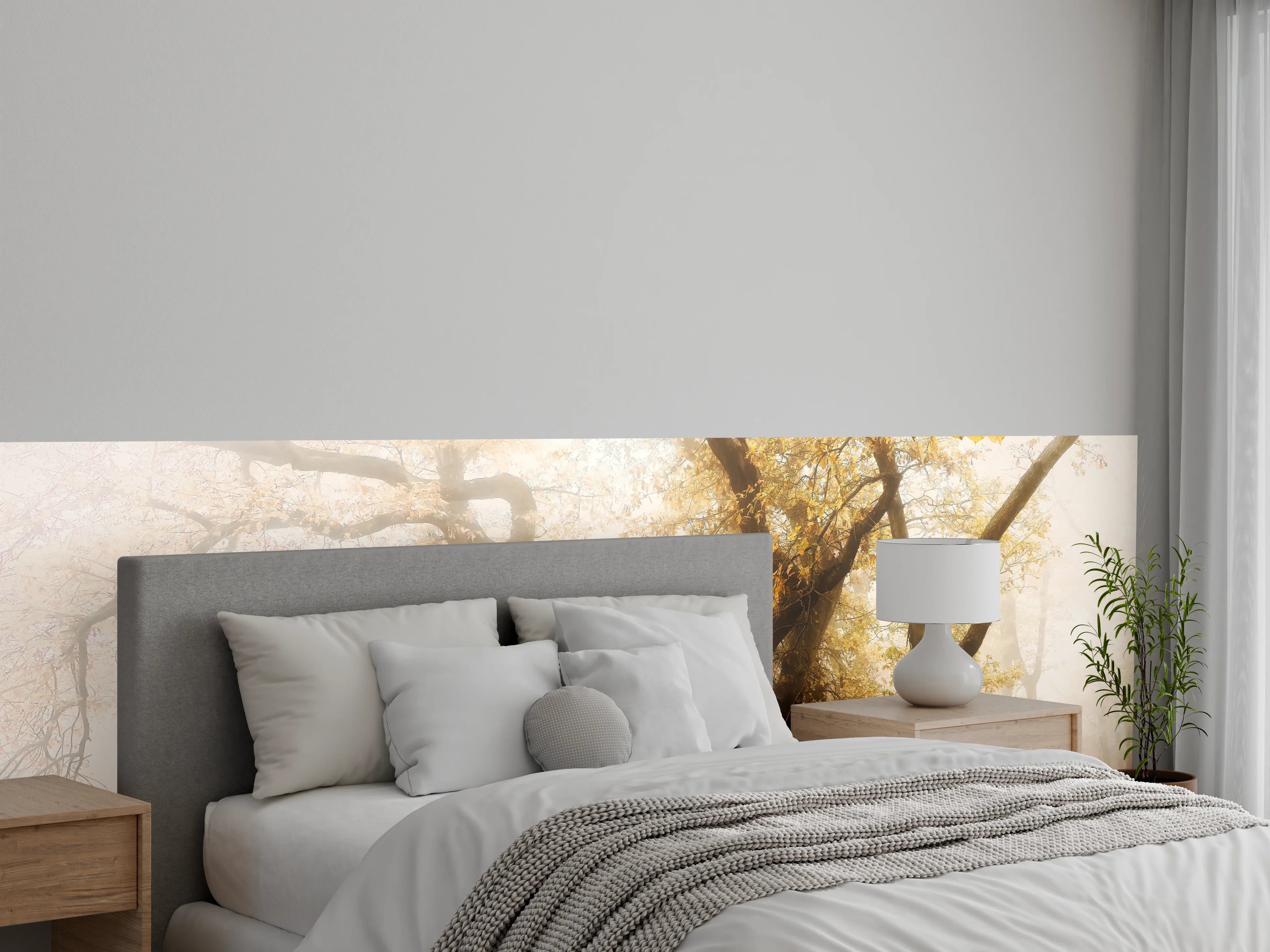 Wandverkleidung Schlafzimmer - Nebeliger Wald im Herbst