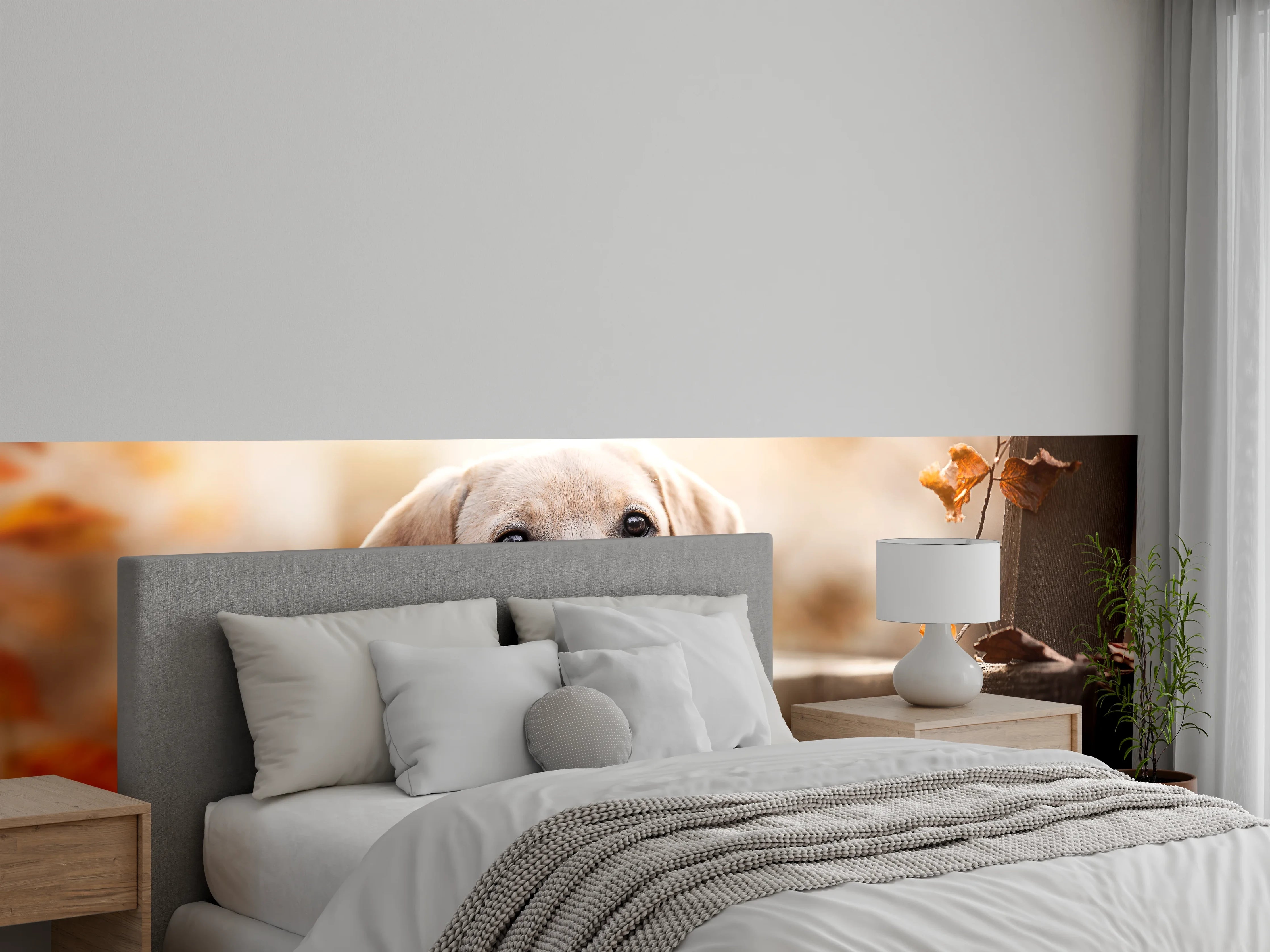 Wandverkleidung Schlafzimmer - Niedlicher Labrador Welpe