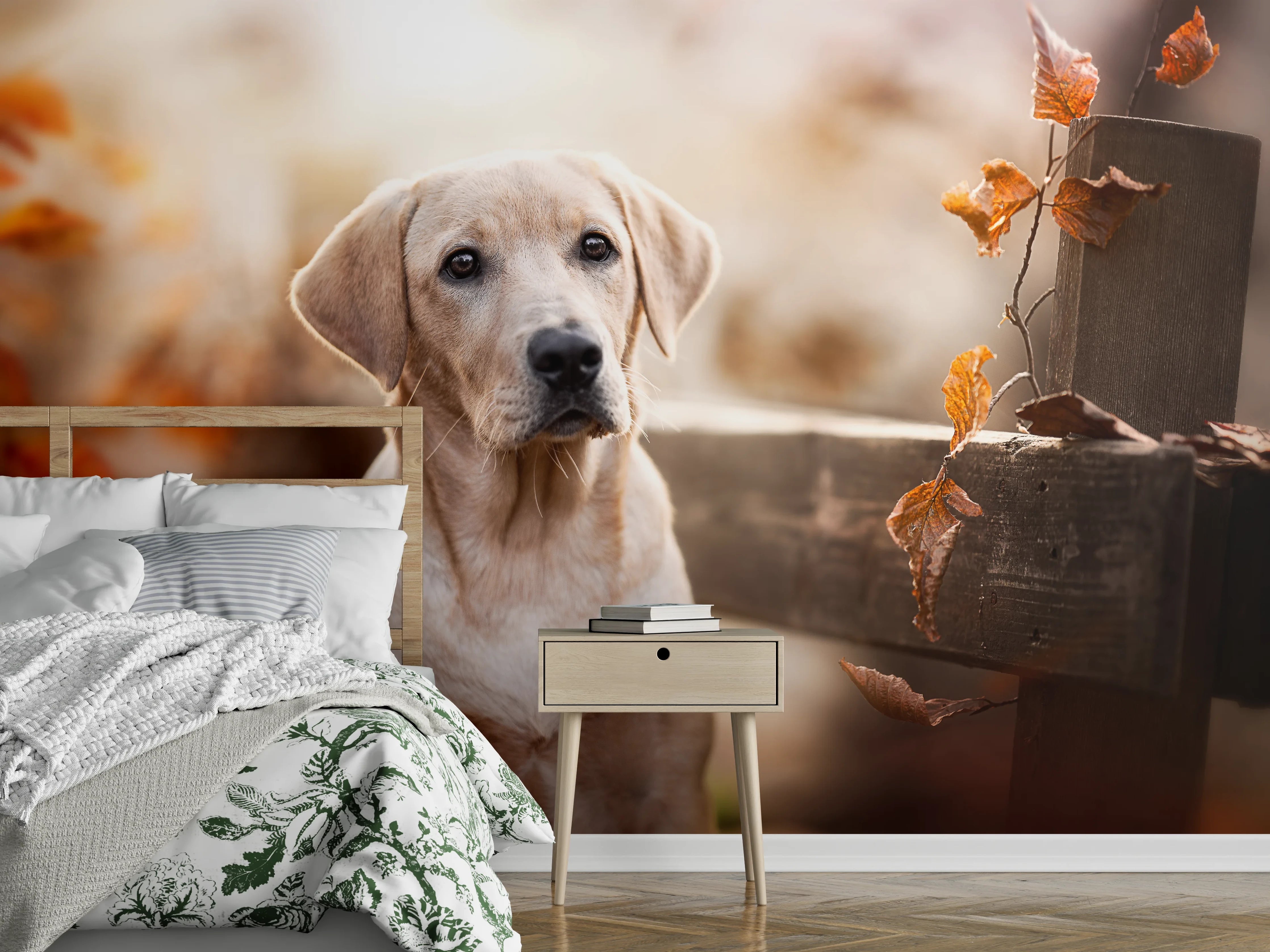 Wandverkleidung Schlafzimmer - Niedlicher Labrador Welpe