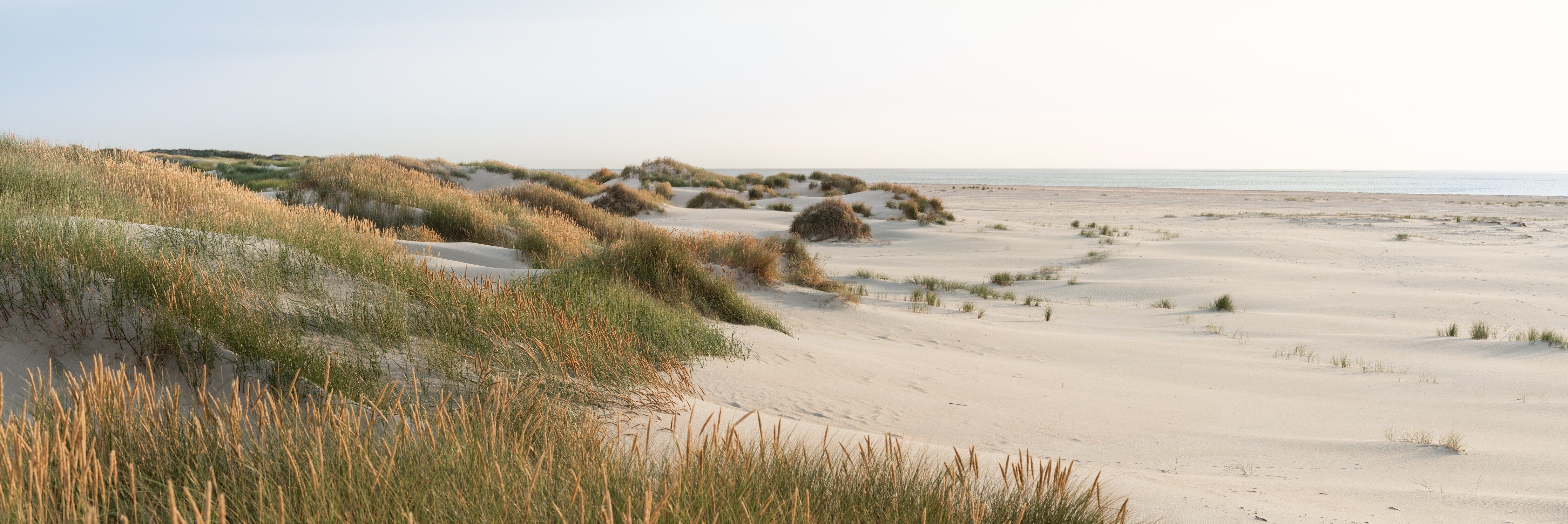 Wandverkleidung Schlafzimmer-Nordseestrand mit Dünenlandschaft
