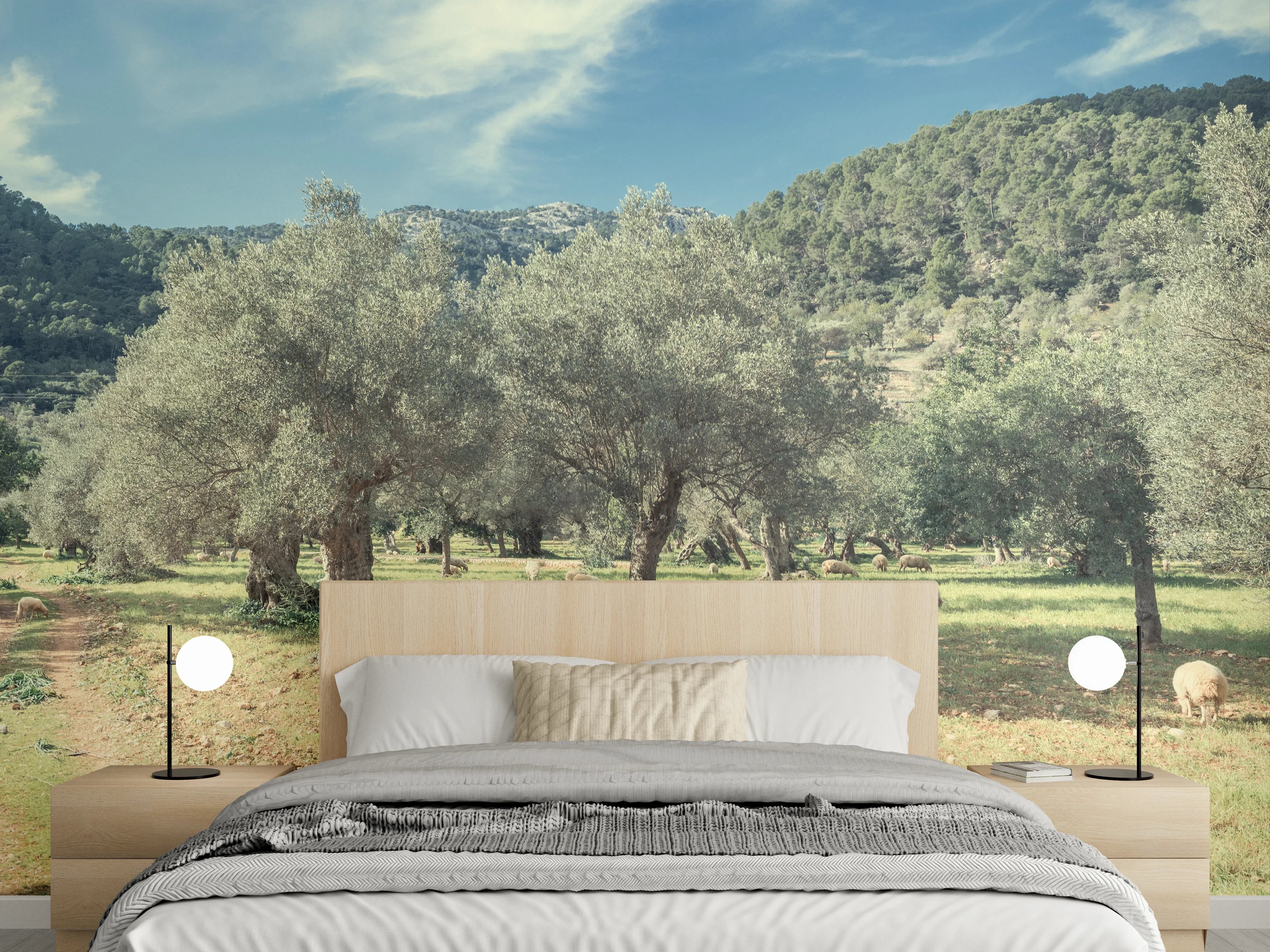 Wandverkleidung Schlafzimmer - Olivenhain mit Bergen im Sonnenschein