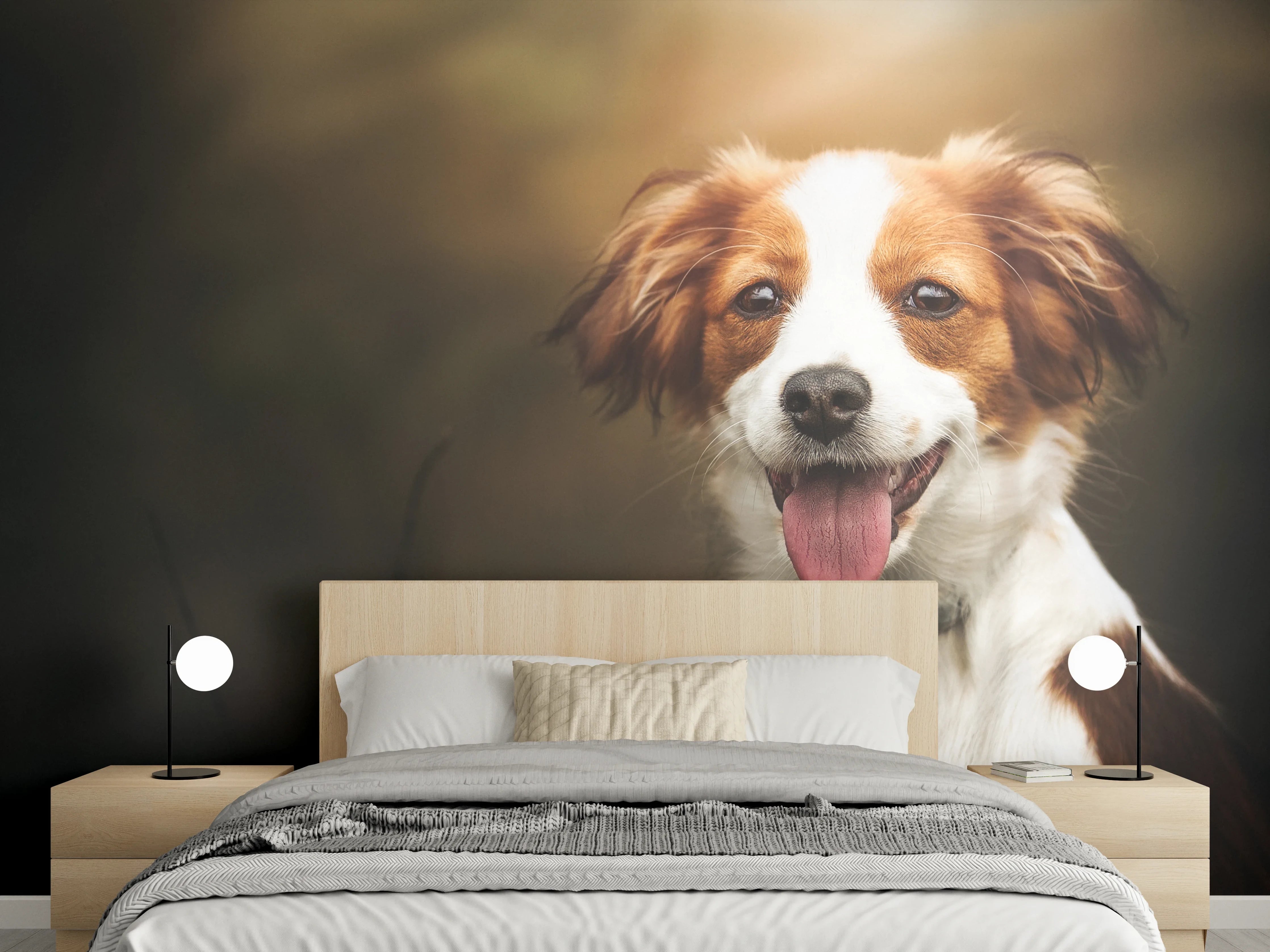 Wandverkleidung Schlafzimmer - Porträt eines niedlichen Kooiker-Hundes