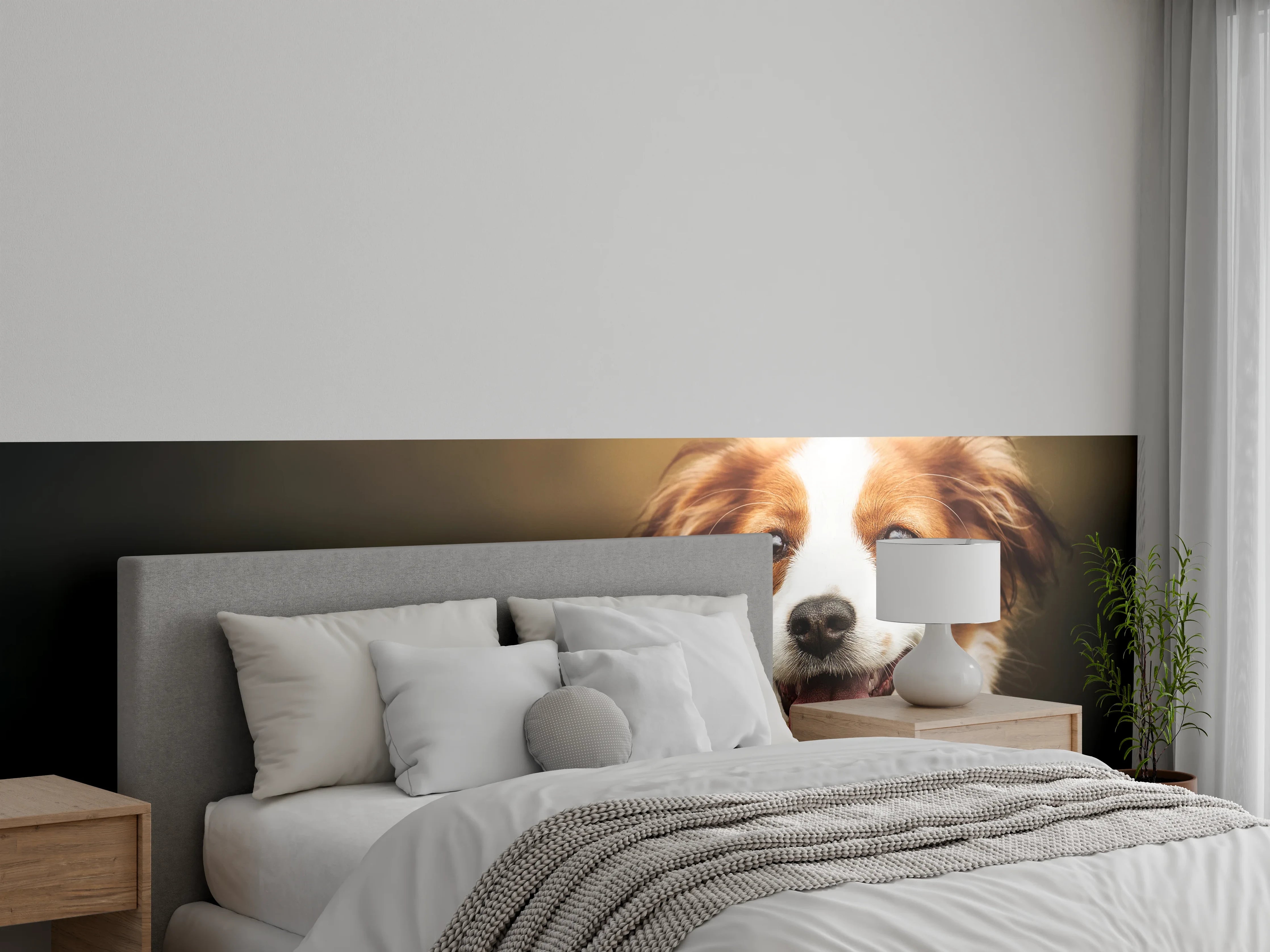 Wandverkleidung Schlafzimmer - Porträt eines niedlichen Kooiker-Hundes