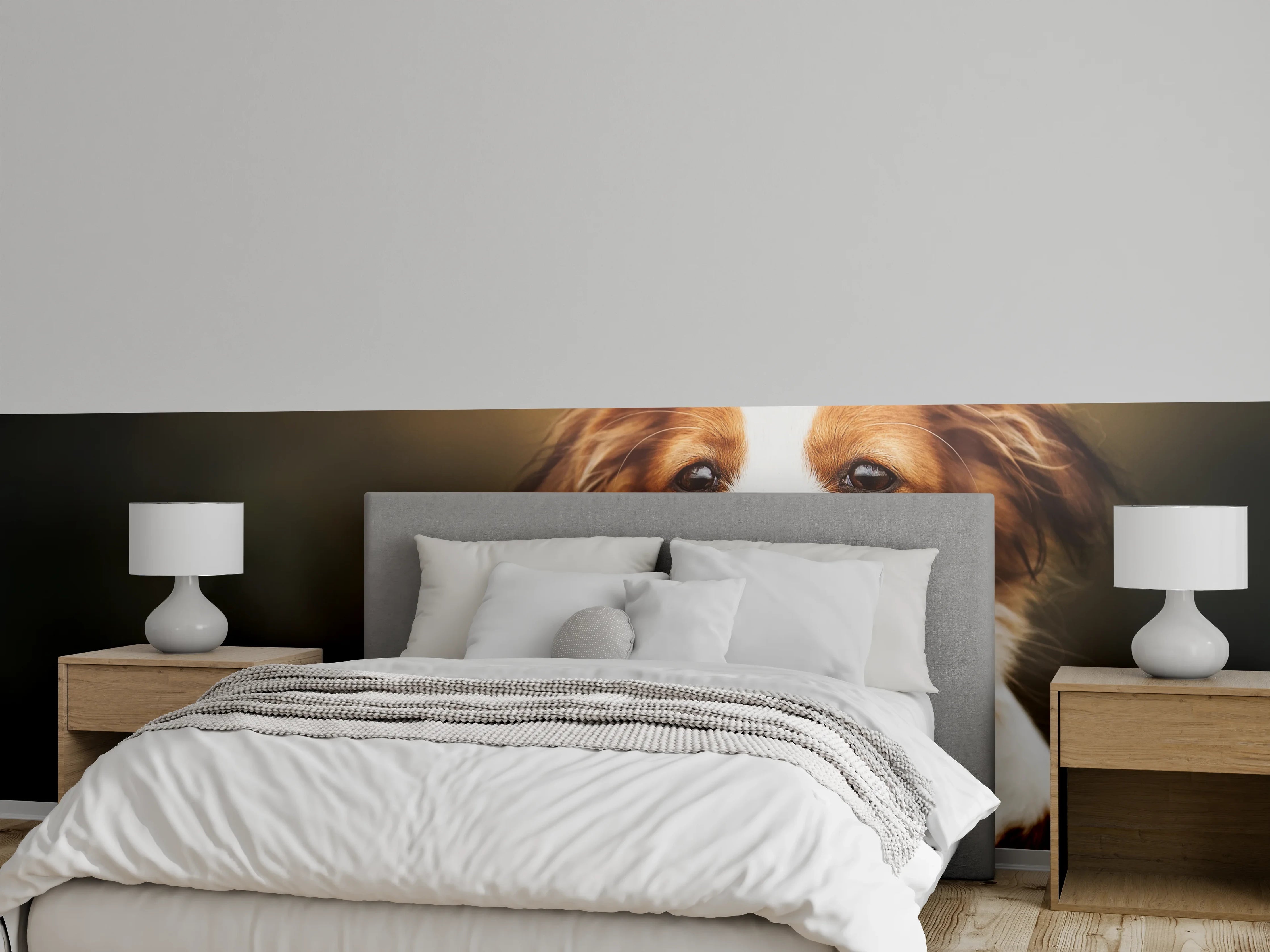 Wandverkleidung Schlafzimmer - Porträt eines niedlichen Kooiker-Hundes