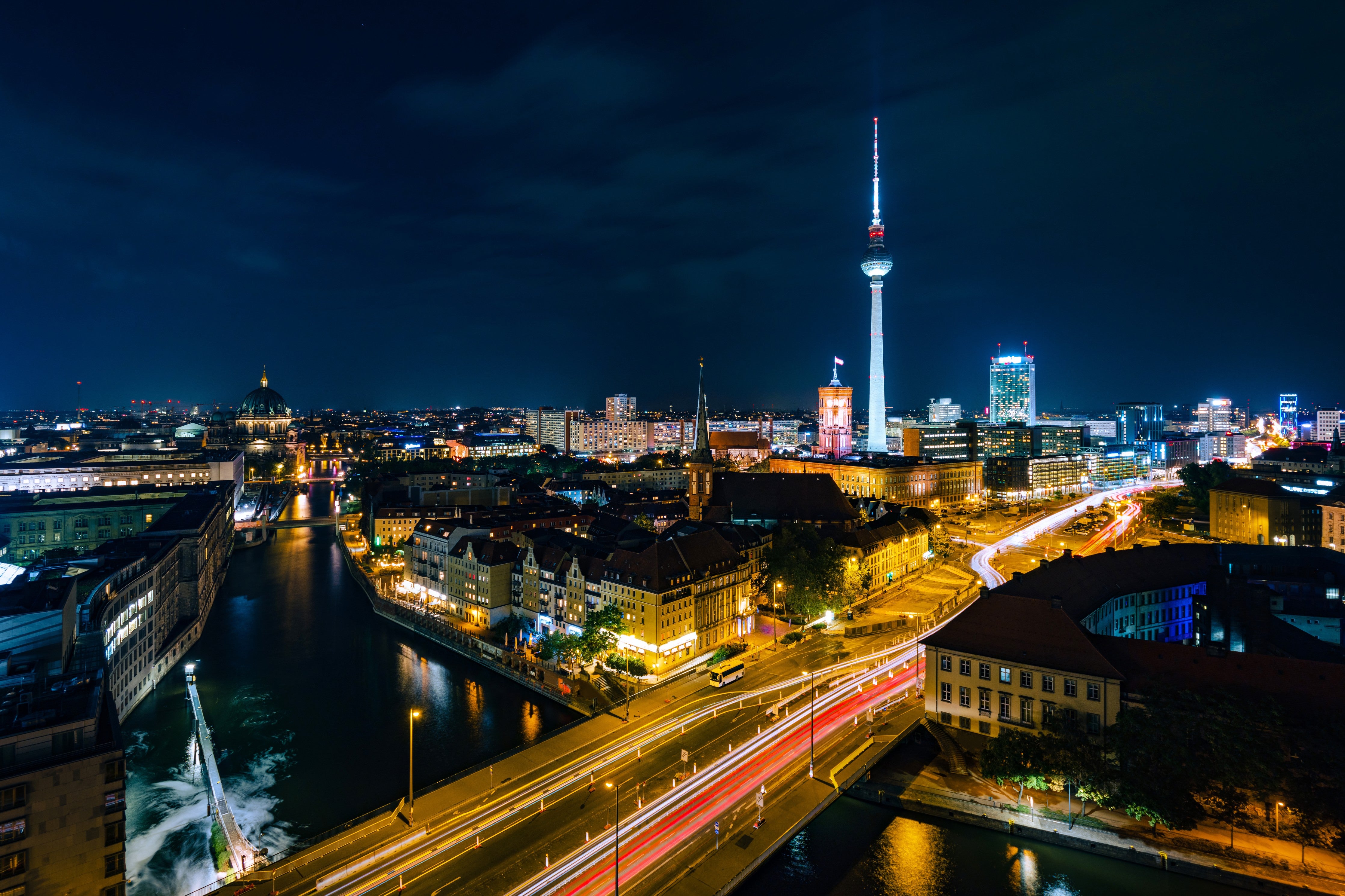 Wandverkleidung Schlafzimmer-Pusteblume schwarz-weiß Hintergrund