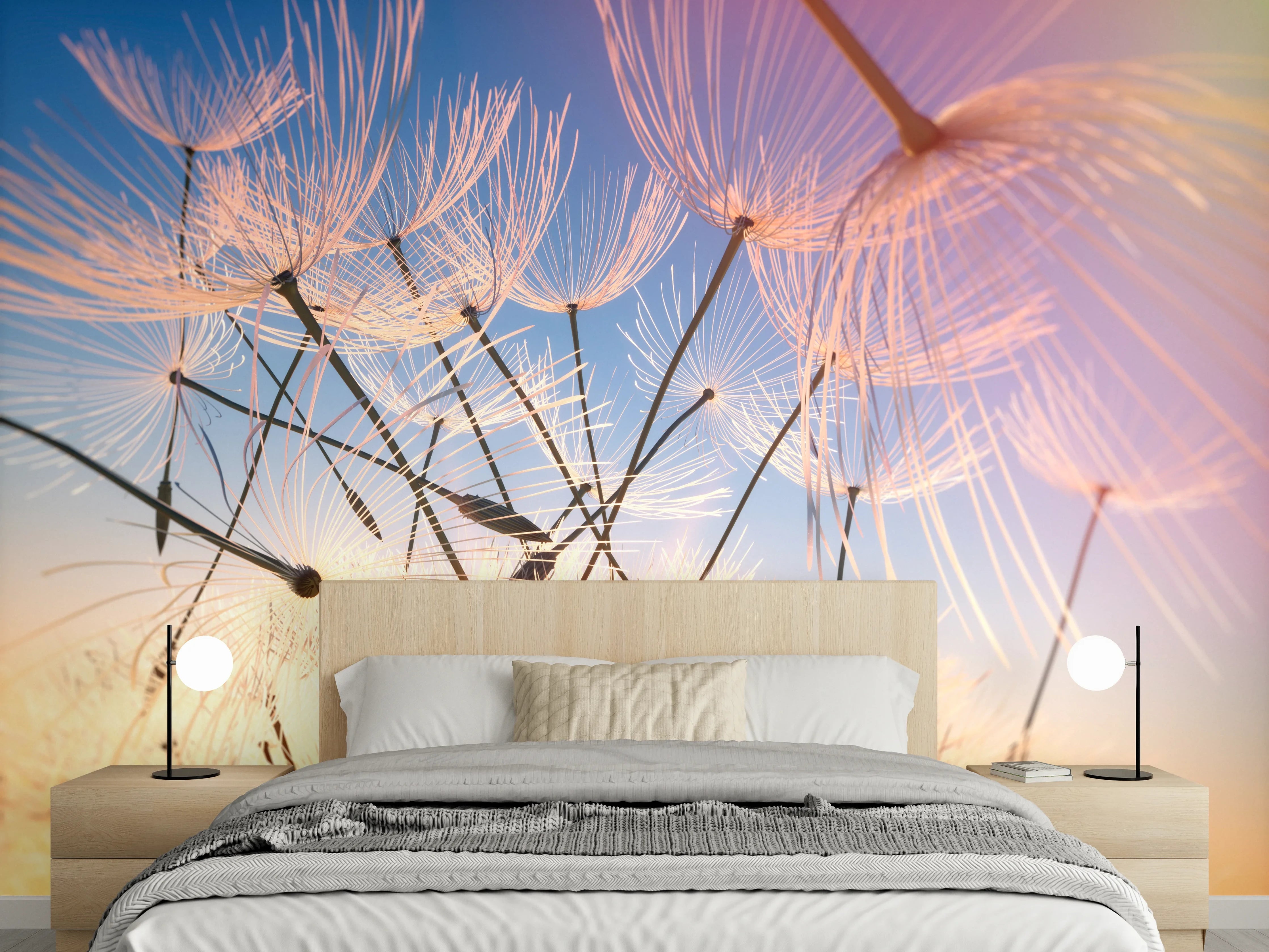 Wandverkleidung Schlafzimmer - Pusteblumen im Sonnenlicht Fotokunst