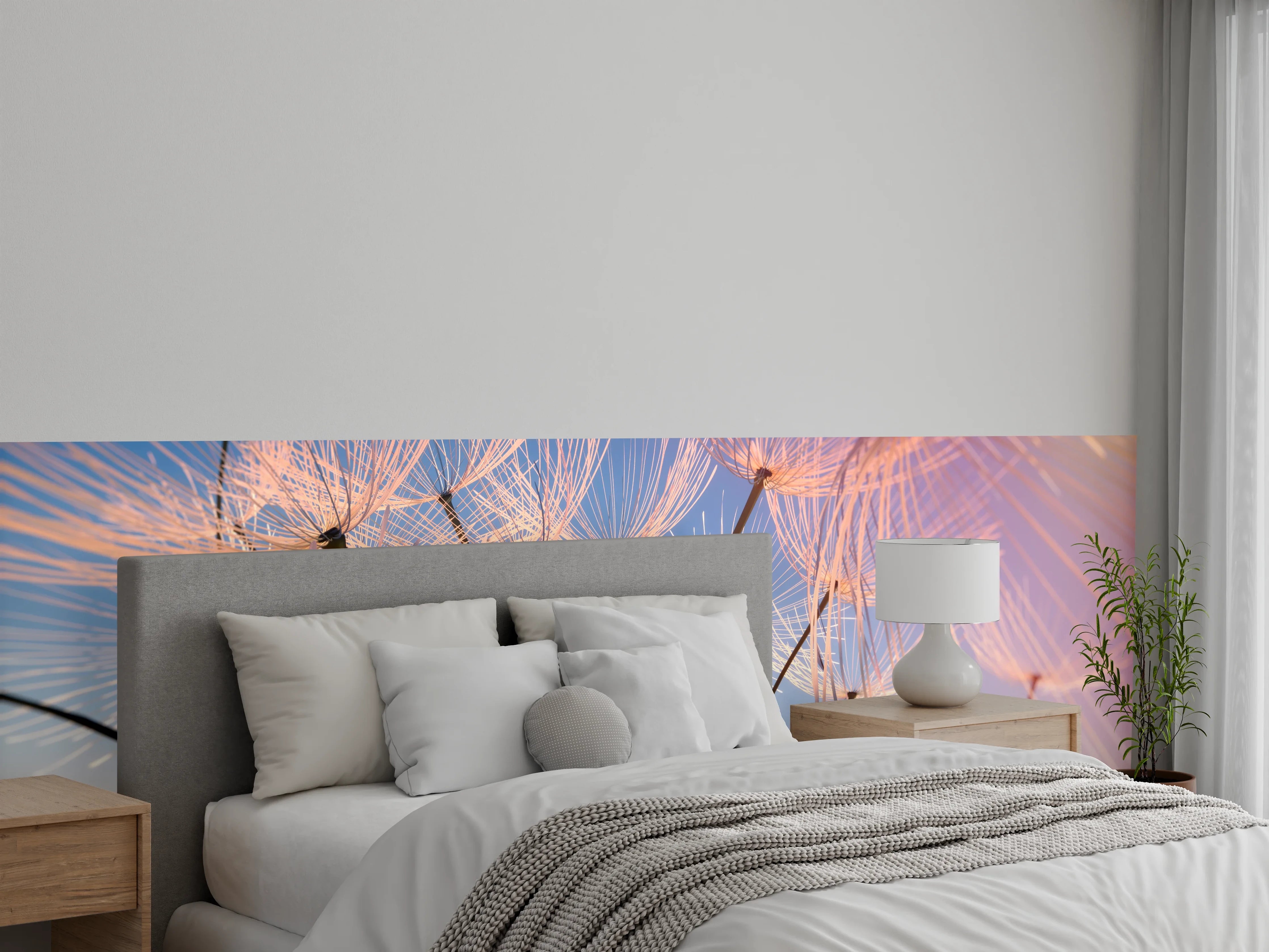 Wandverkleidung Schlafzimmer - Pusteblumen im Sonnenlicht Fotokunst