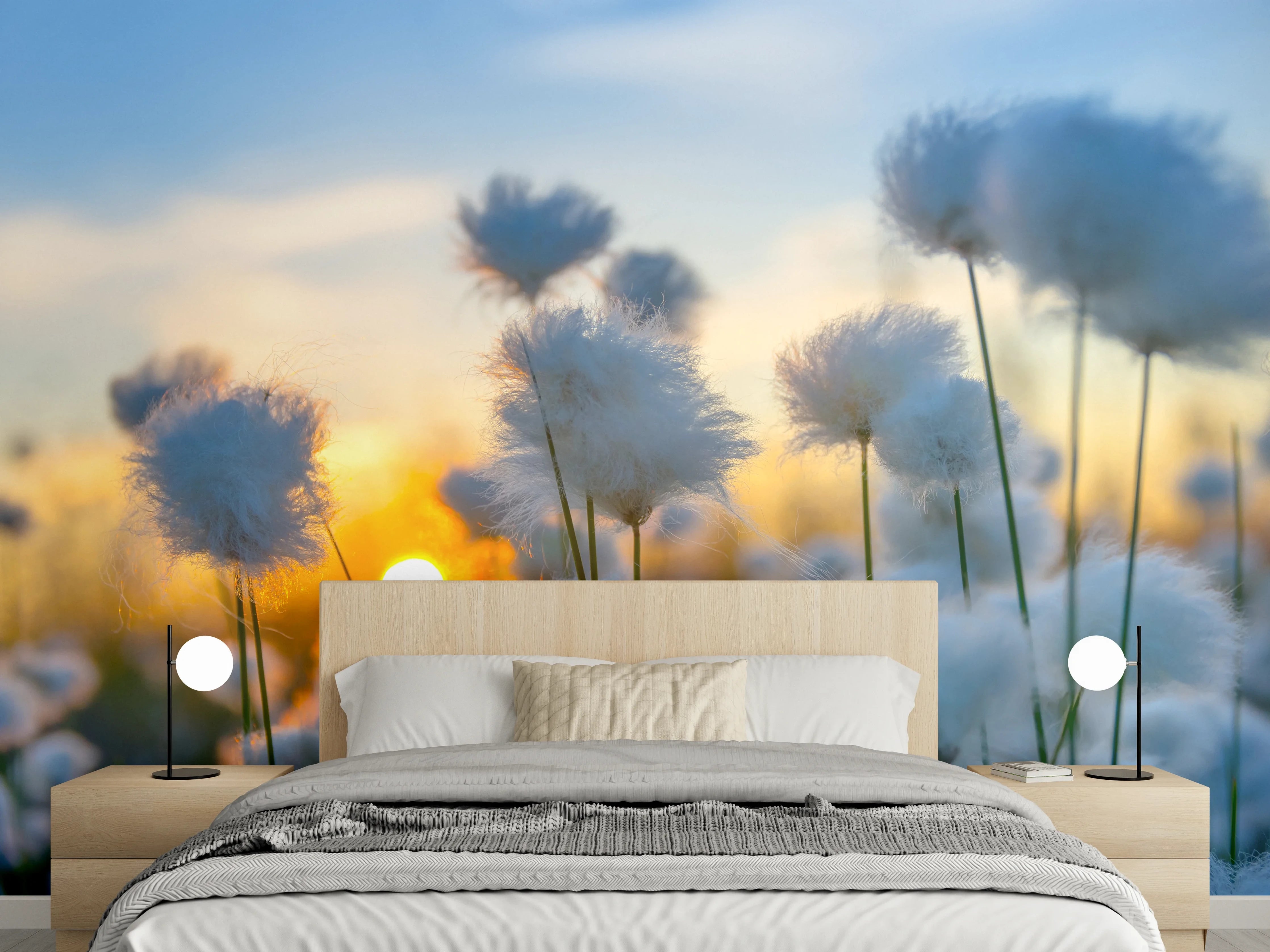 Wandverkleidung Schlafzimmer - Pusteblumen im Sonnenuntergang Feld Landschaft