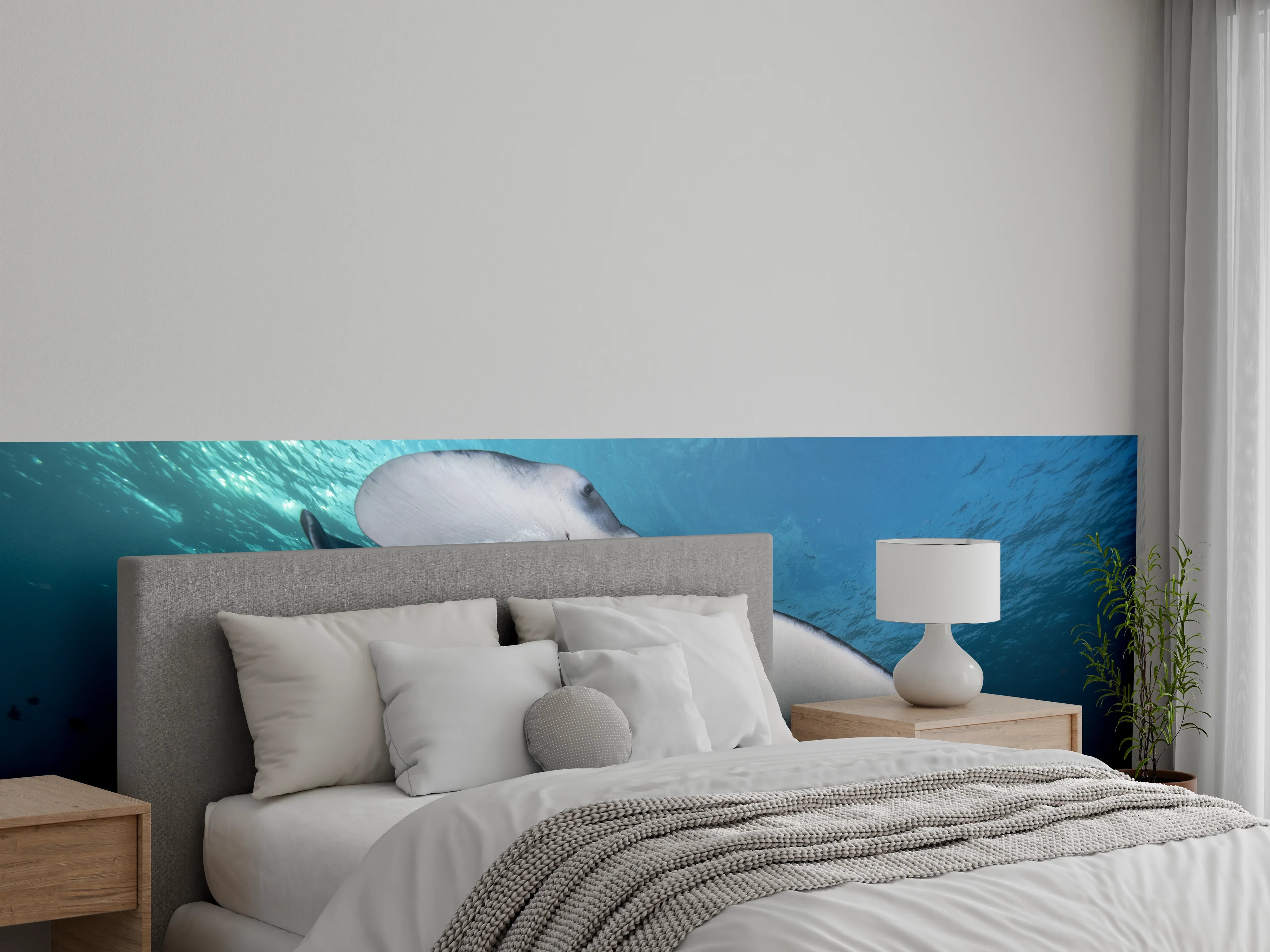 Wandverkleidung Schlafzimmer - Riff-Manta Unterwasser