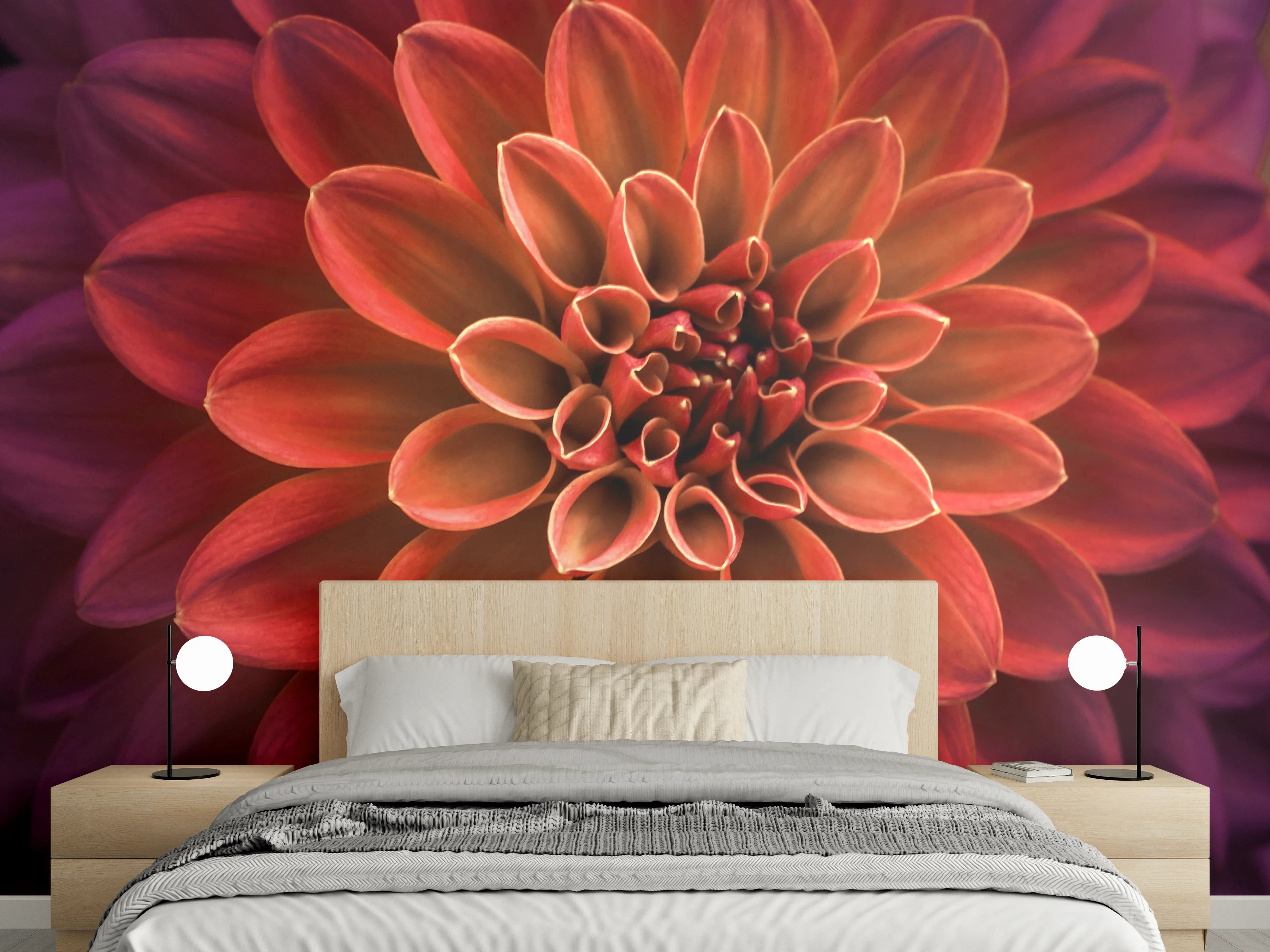 Wandverkleidung Schlafzimmer - Rote Dahlie Nahaufnahme Blüte