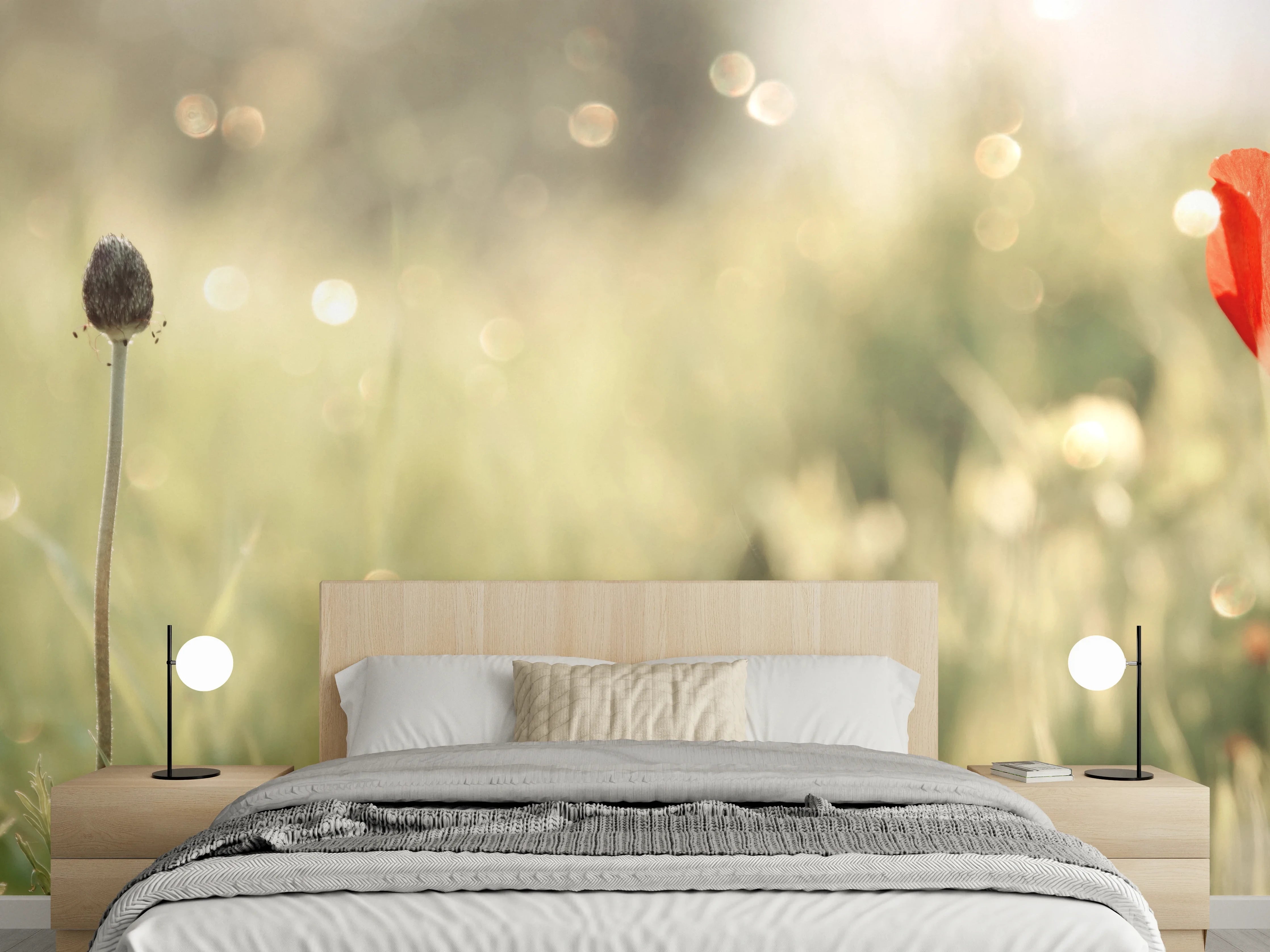 Wandverkleidung Schlafzimmer - Roter Mohn auf Wiese