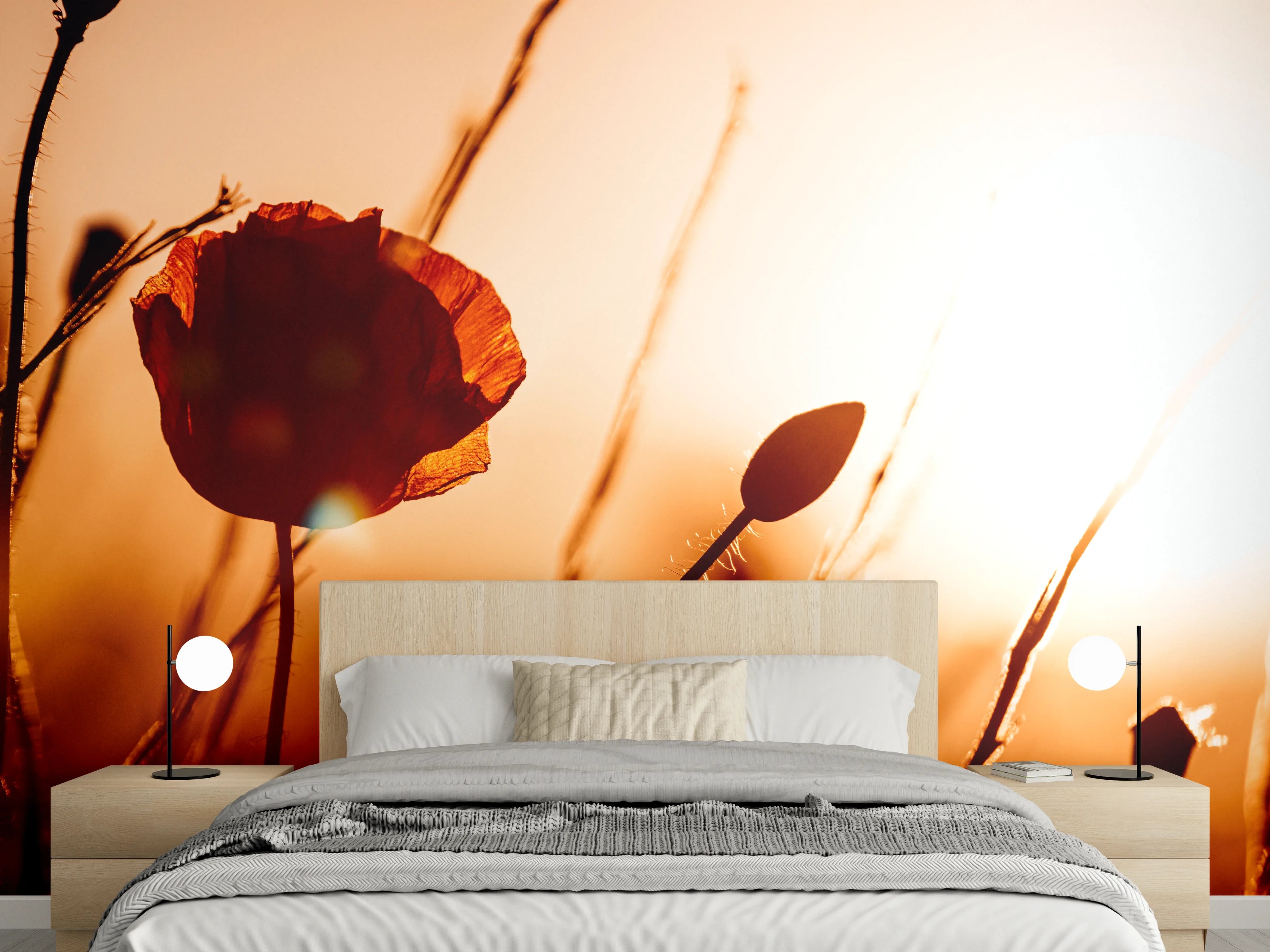 Wandverkleidung Schlafzimmer - Roter Mohn im sanften Sonnenlicht