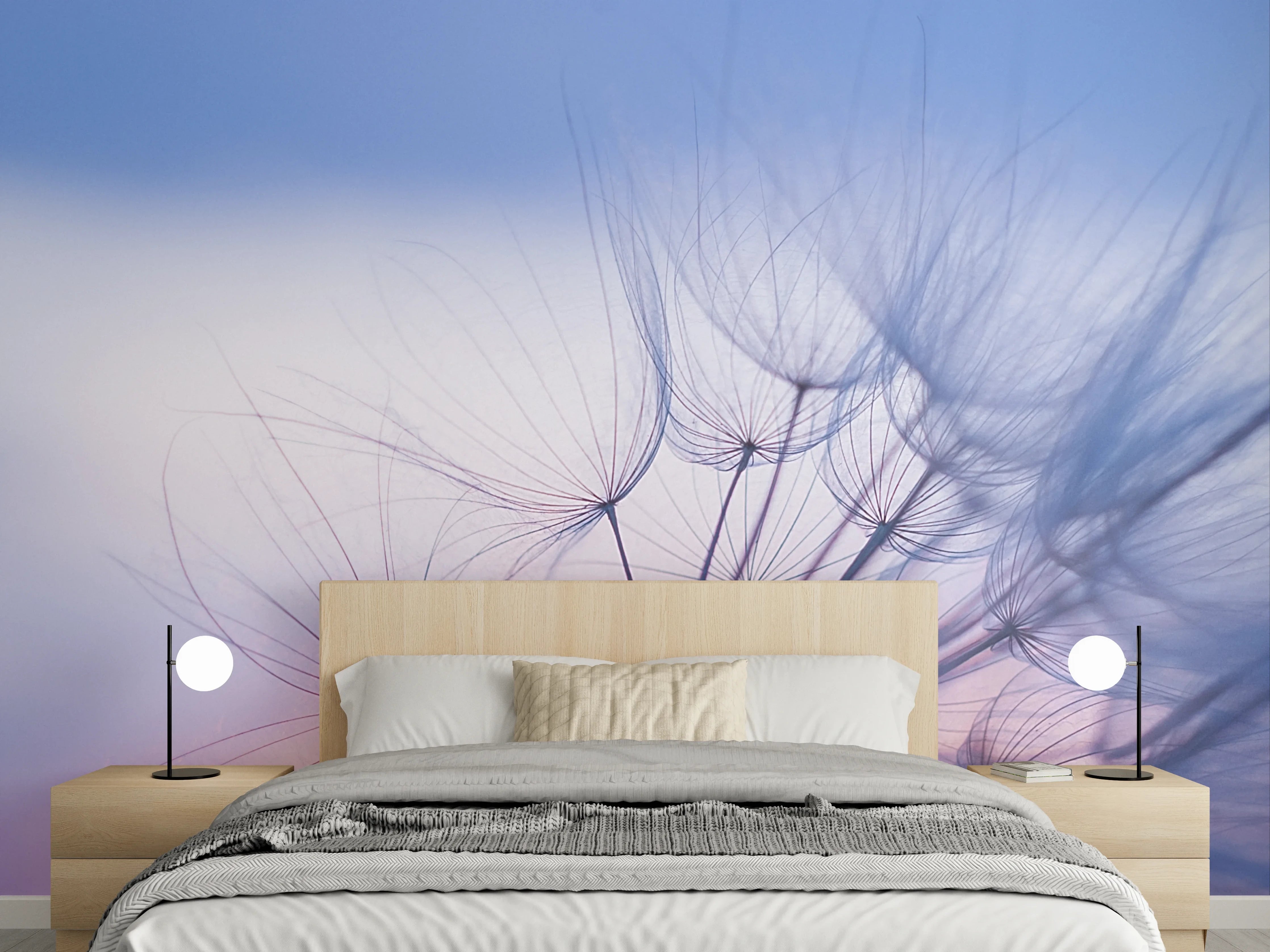 Wandverkleidung Schlafzimmer - Sanfte Pusteblume im Morgenlicht