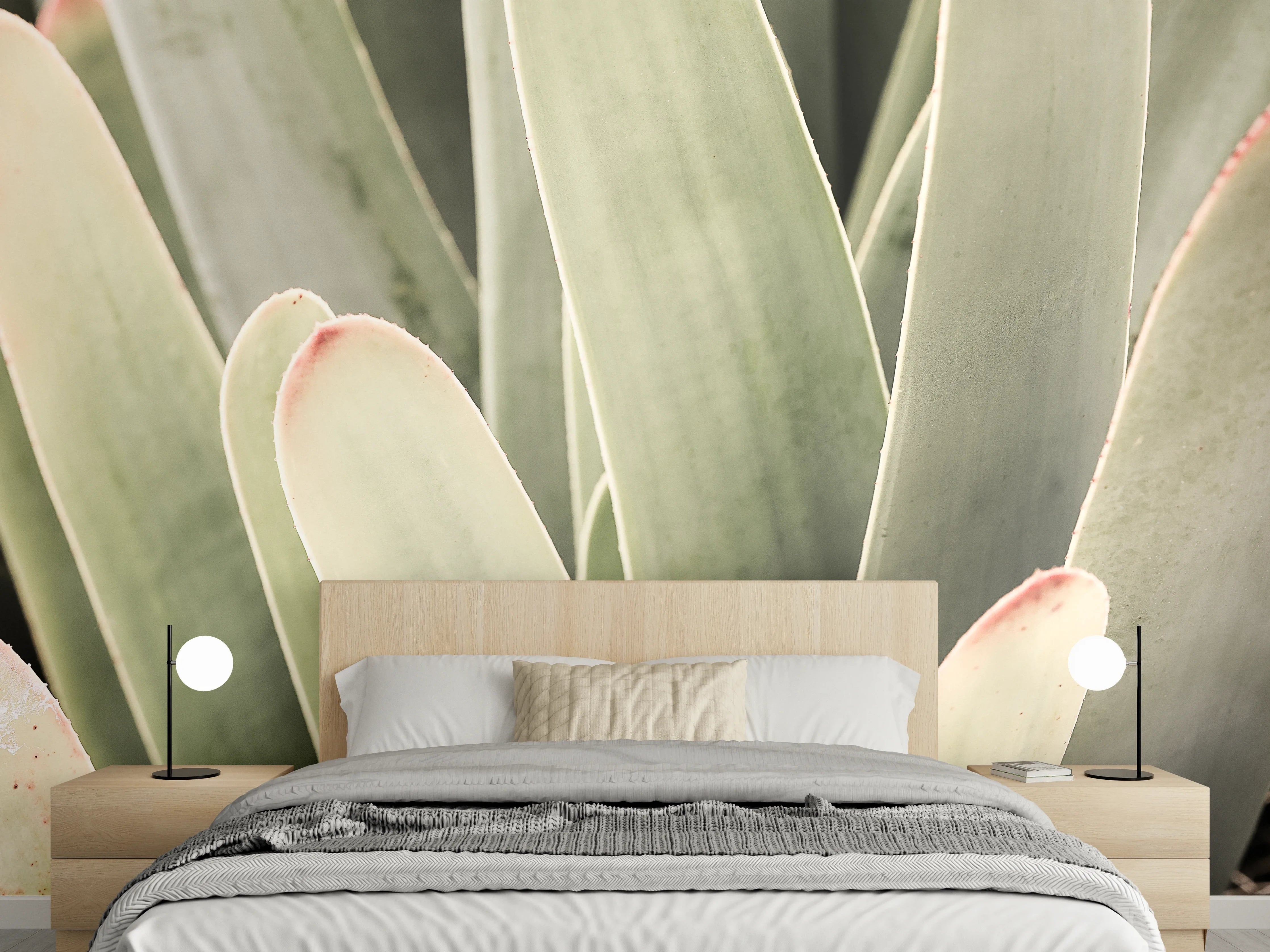 Wandverkleidung Schlafzimmer - Sanfte Sukkulente mit grünen Blättern