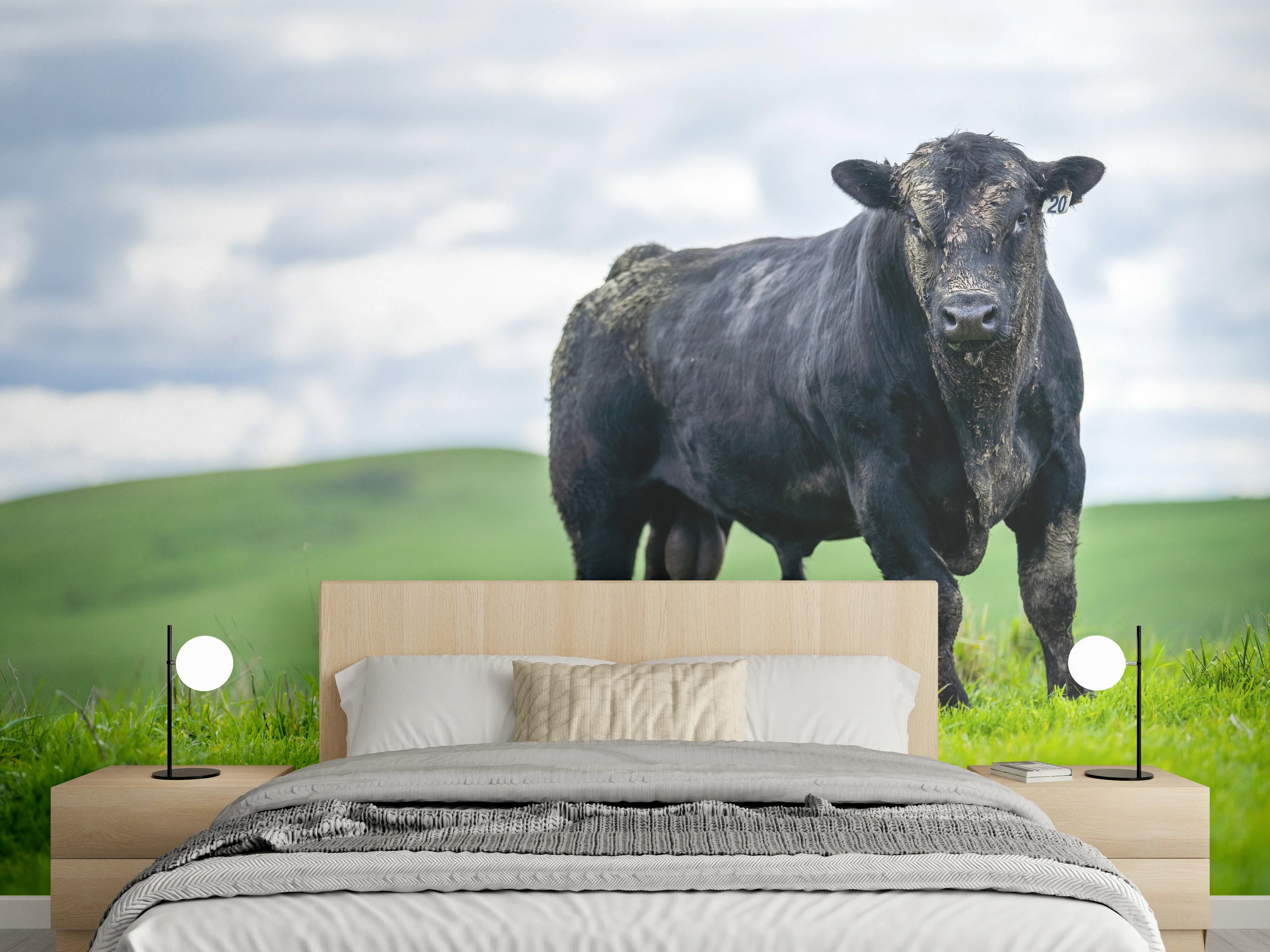 Wandverkleidung Schlafzimmer - Schmutziger Aberdeen Angus