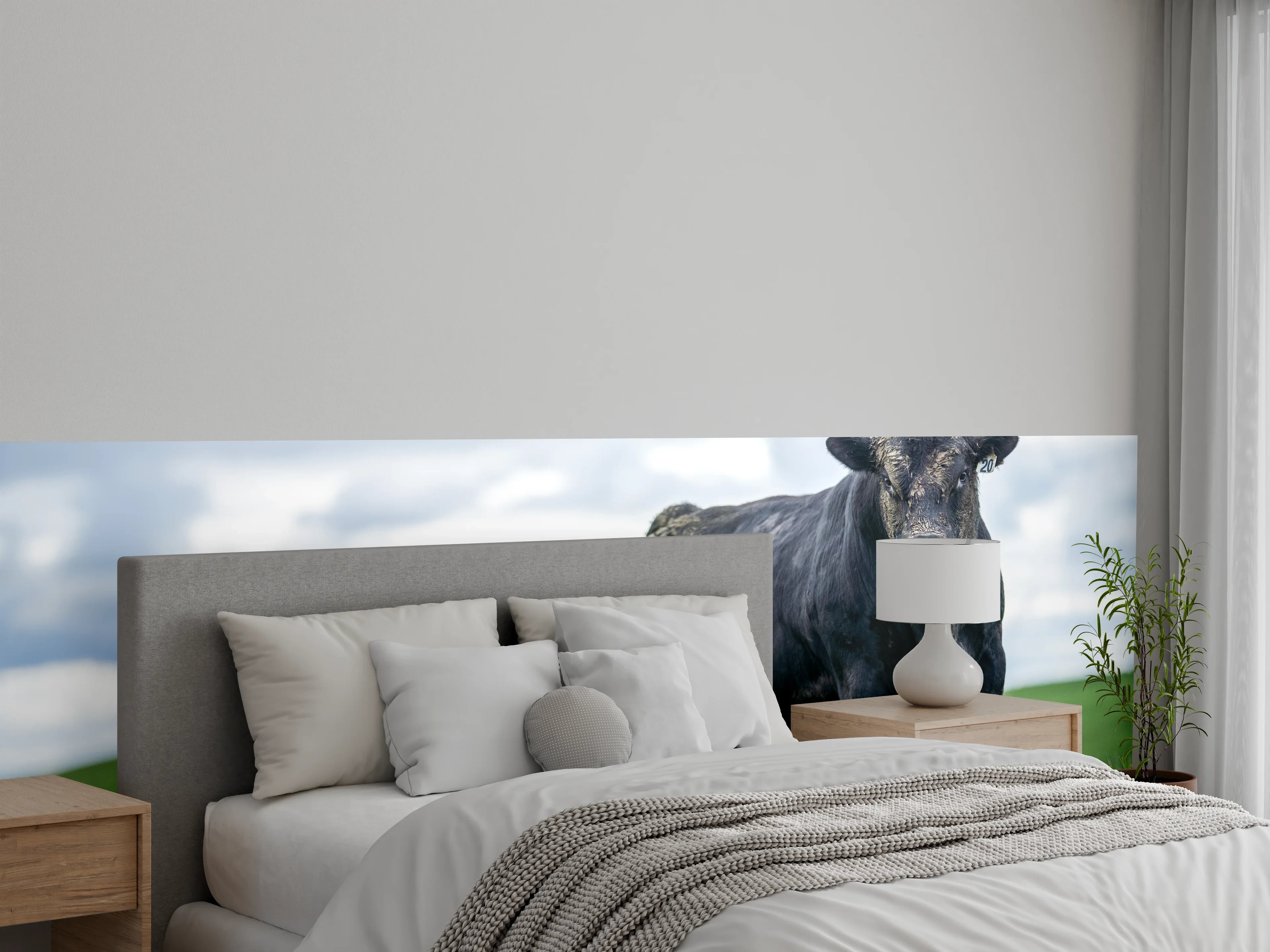 Wandverkleidung Schlafzimmer - Schmutziger Aberdeen Angus