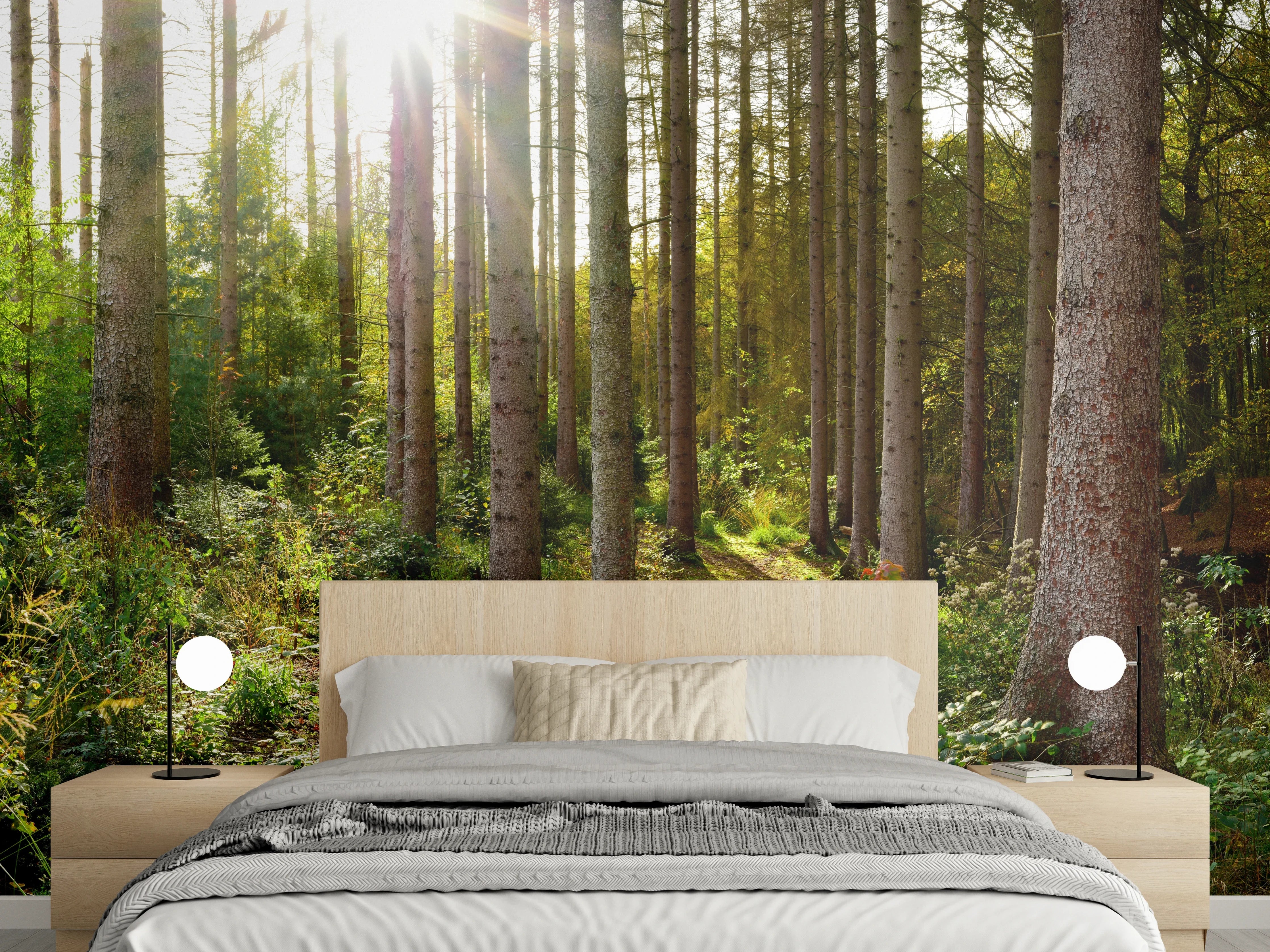 Wandverkleidung Schlafzimmer - Schöner Fichtenwald im Herbst