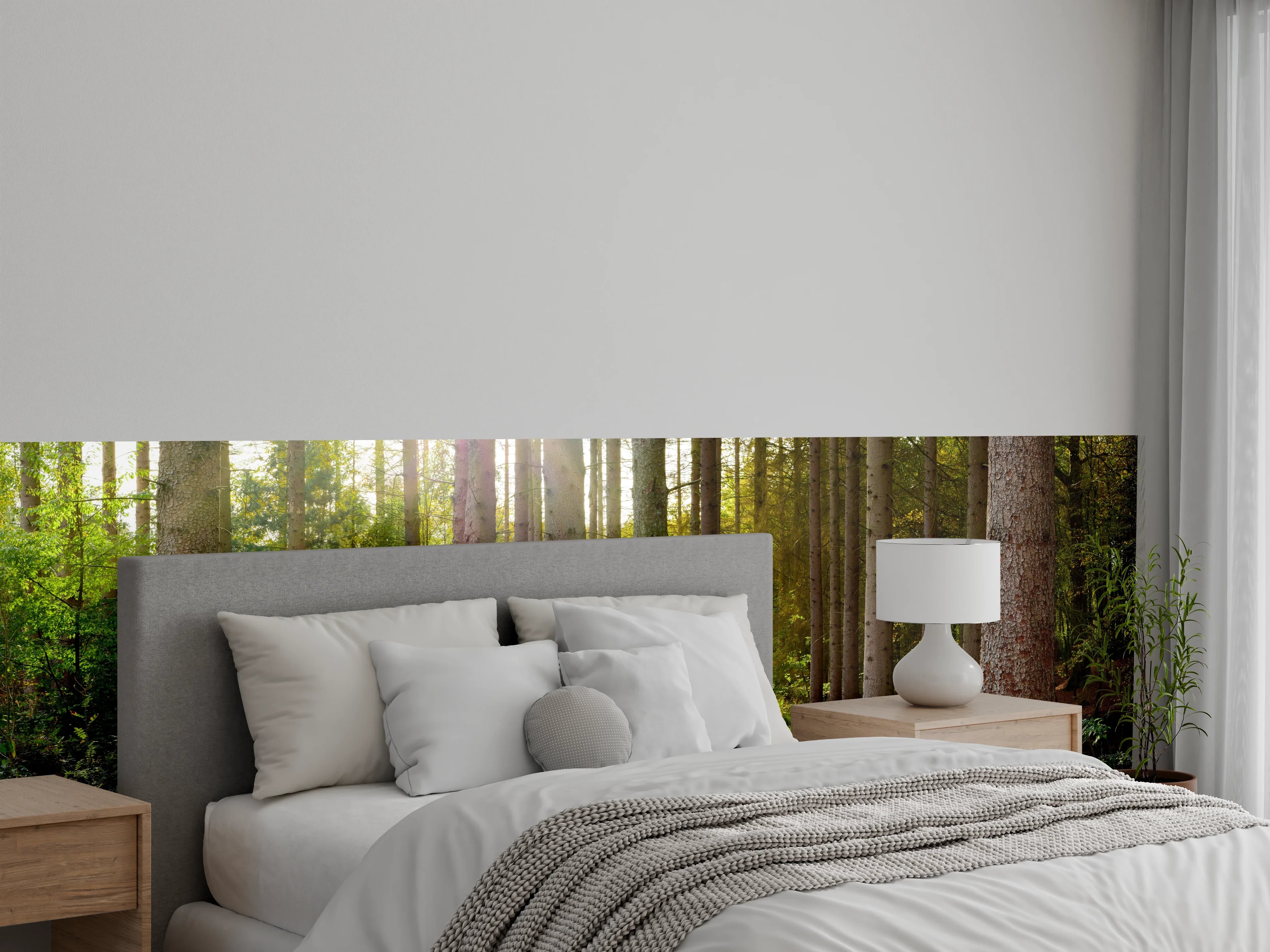 Wandverkleidung Schlafzimmer - Schöner Fichtenwald im Herbst