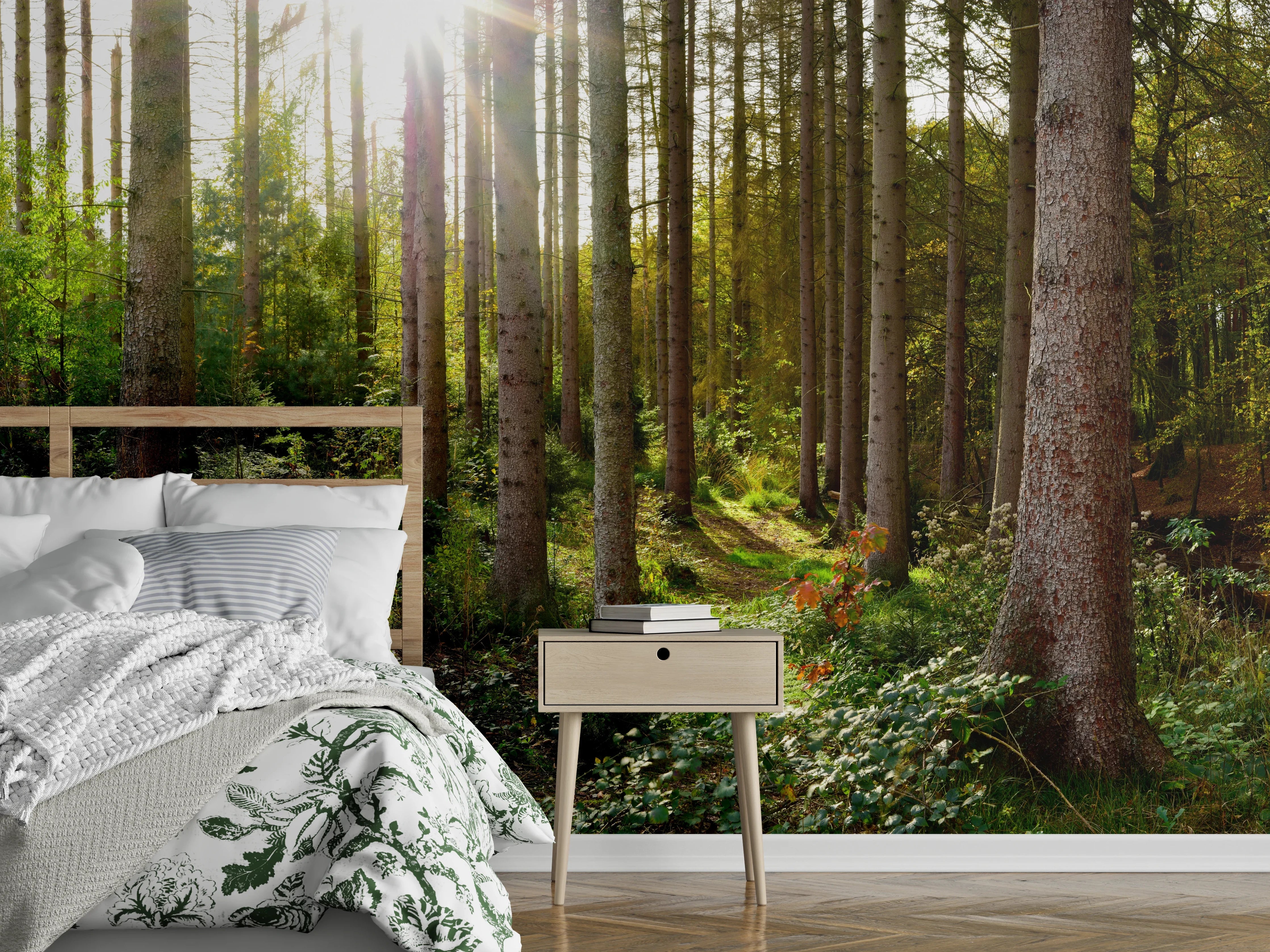 Wandverkleidung Schlafzimmer - Schöner Fichtenwald im Herbst